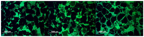 Heritage 08 00107 g0a2