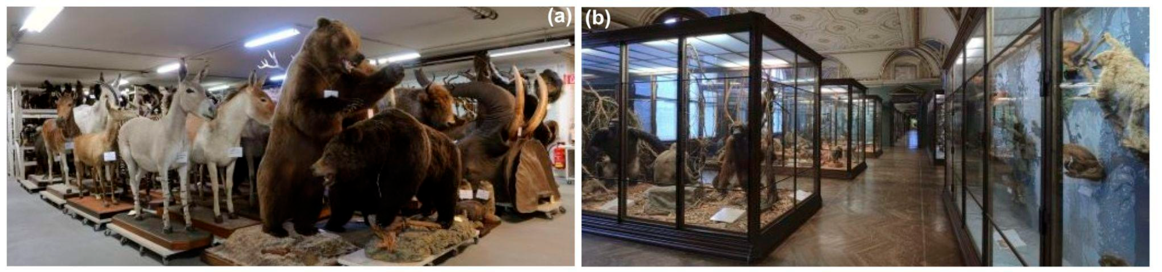 Heritage 08 00124 g009