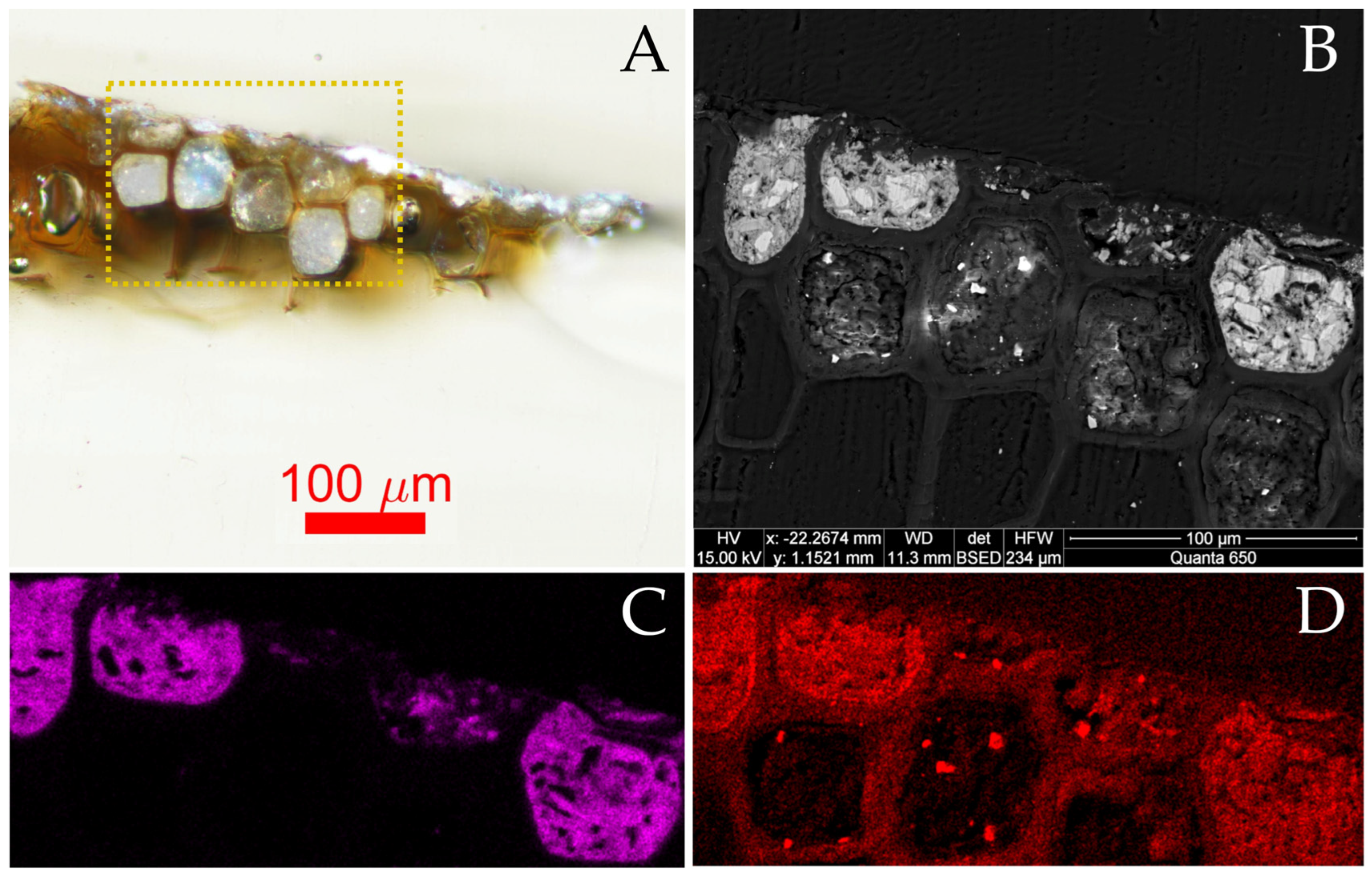 Heritage 08 00128 g004