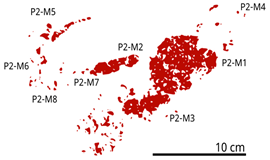 Heritage 08 00176 i005