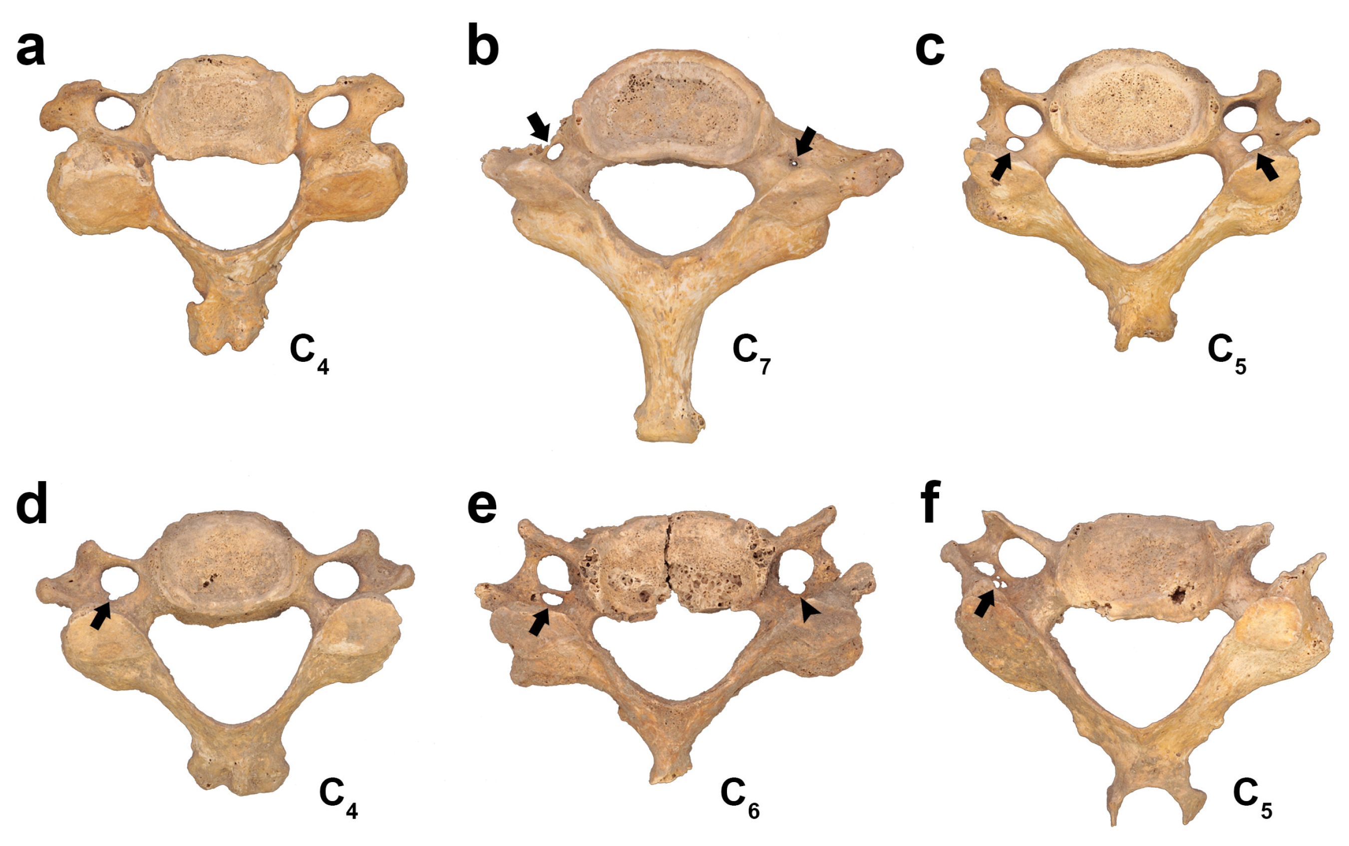 Heritage 08 00178 g001