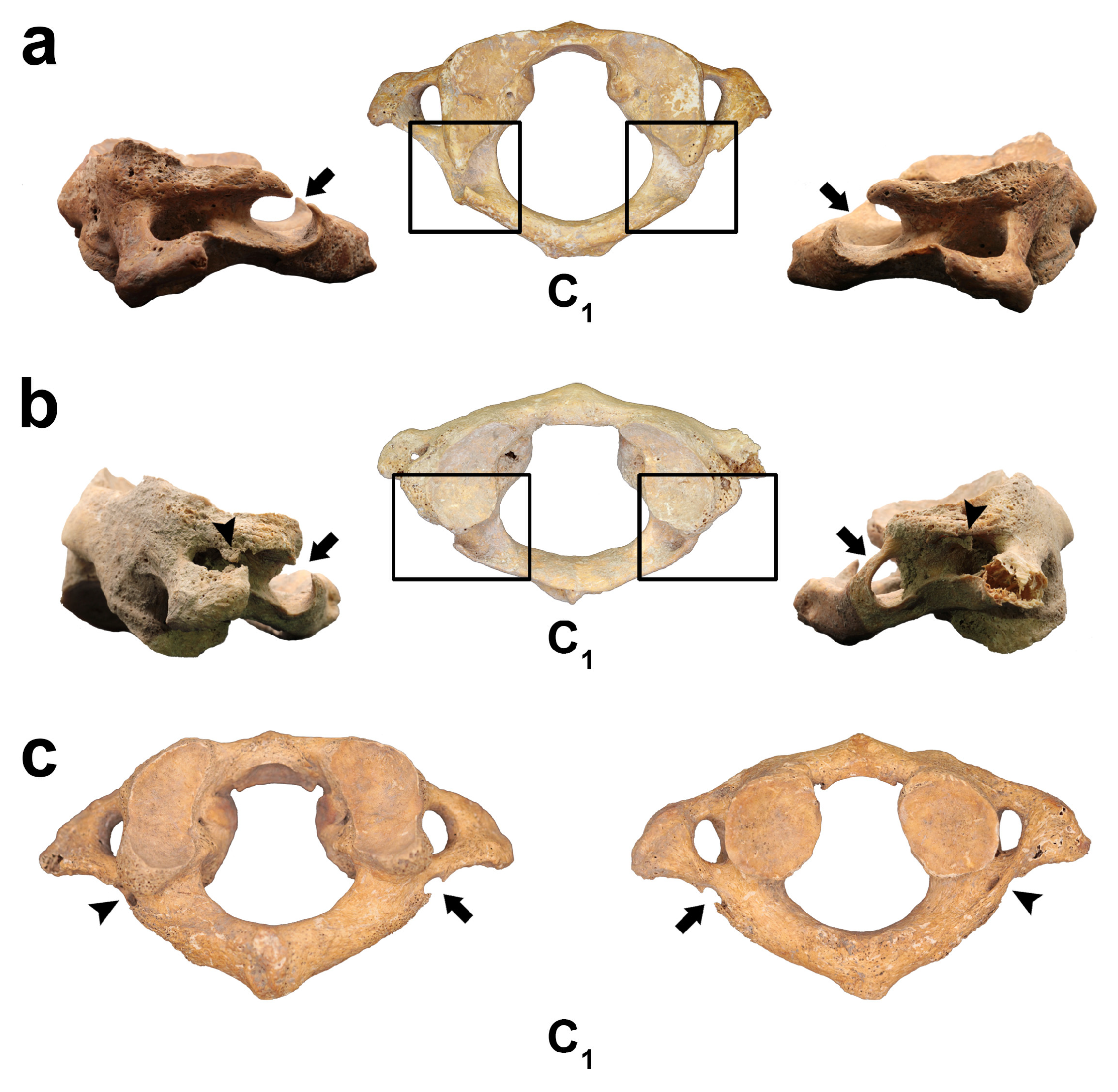 Heritage 08 00178 g002