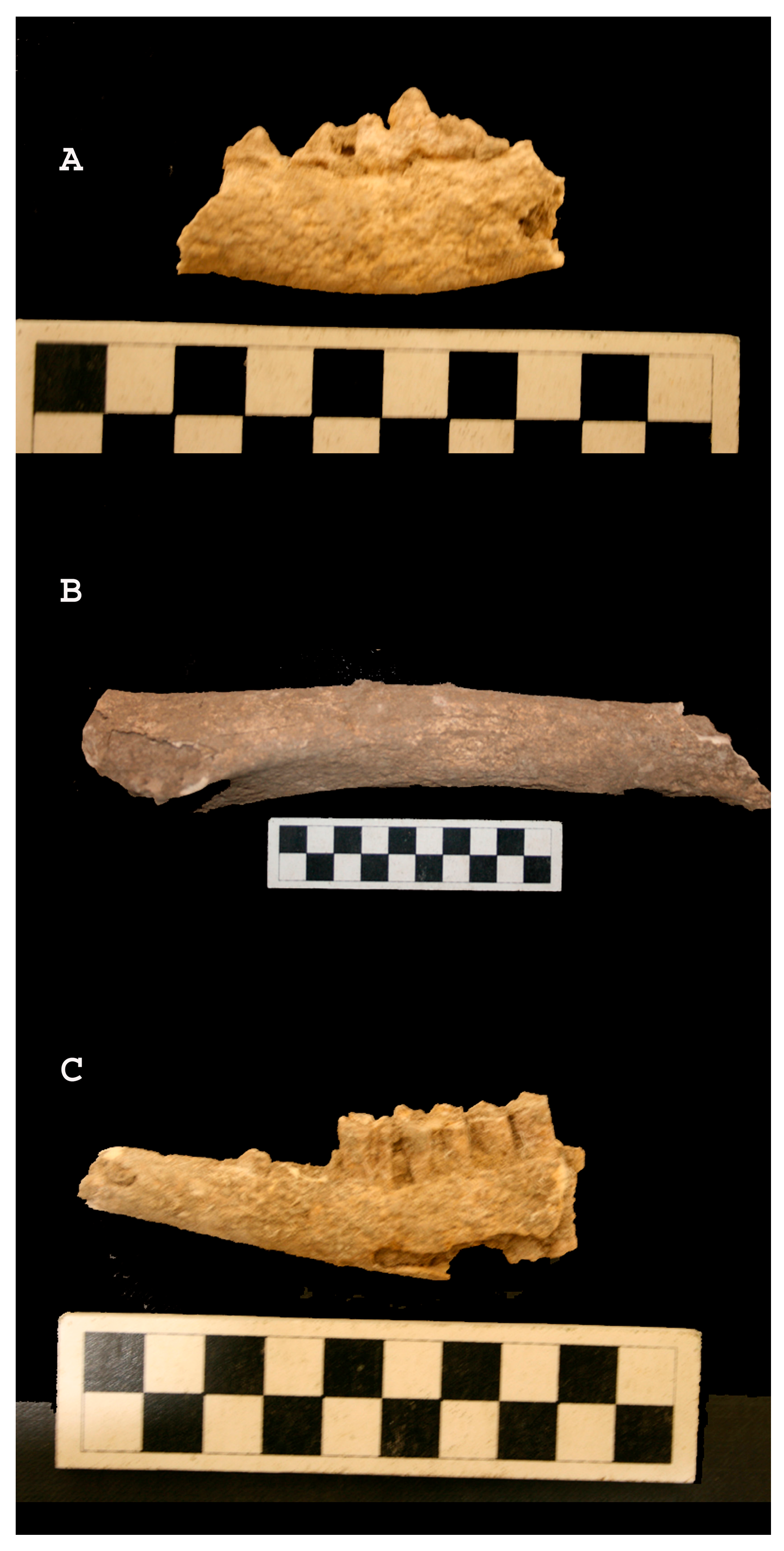 Heritage 08 00181 g006