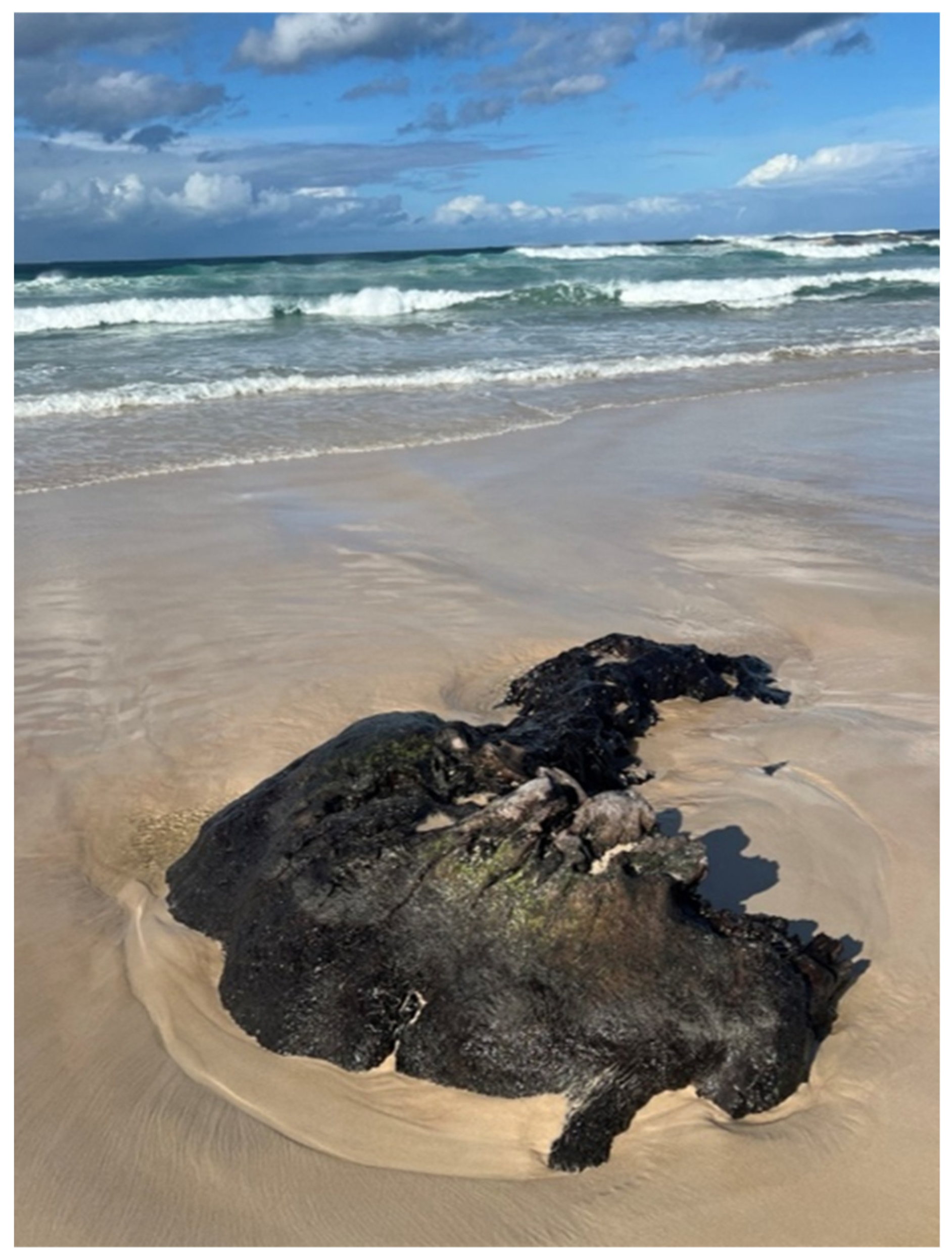 Heritage 08 00256 g007