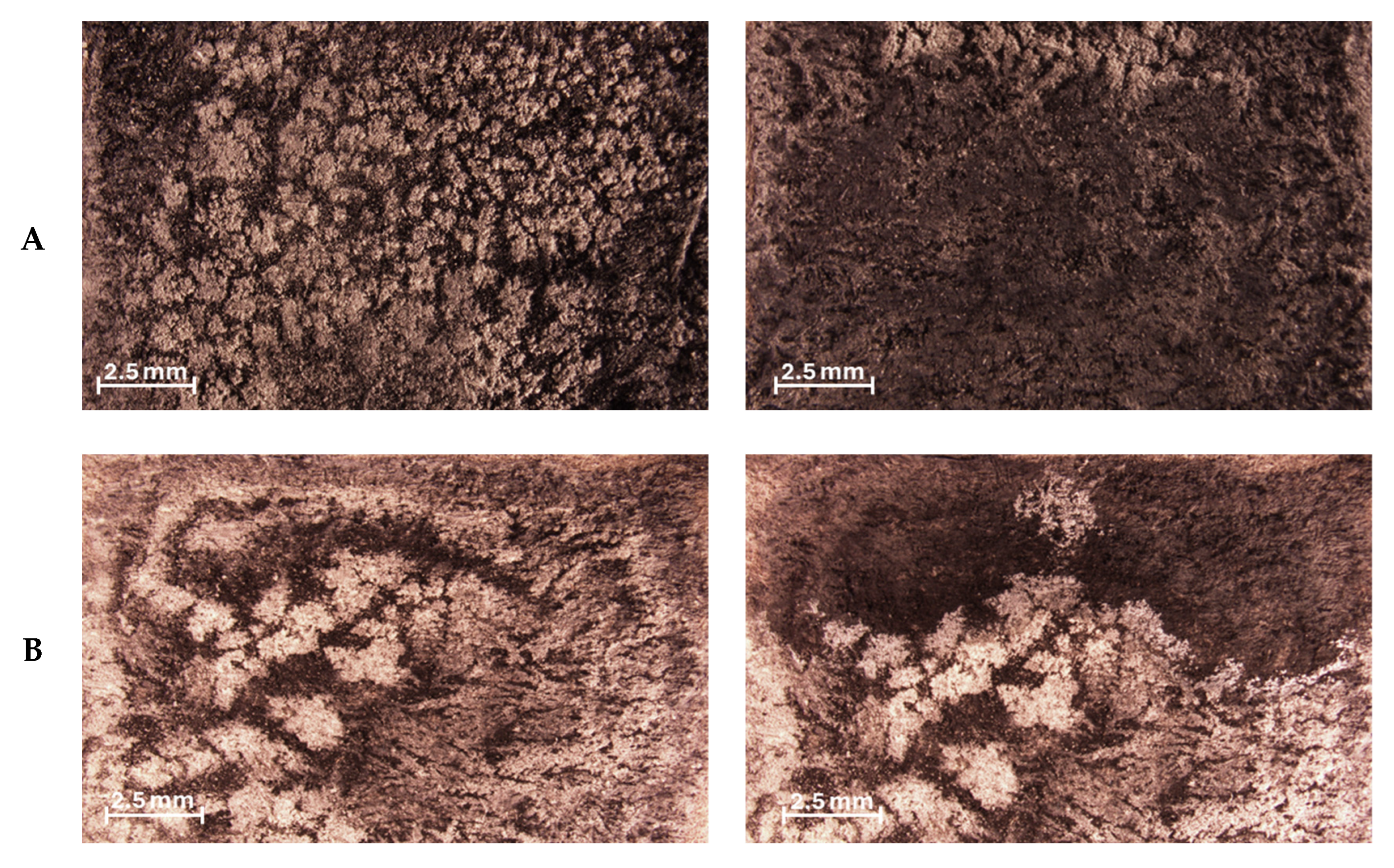 Heritage 08 00261 g005