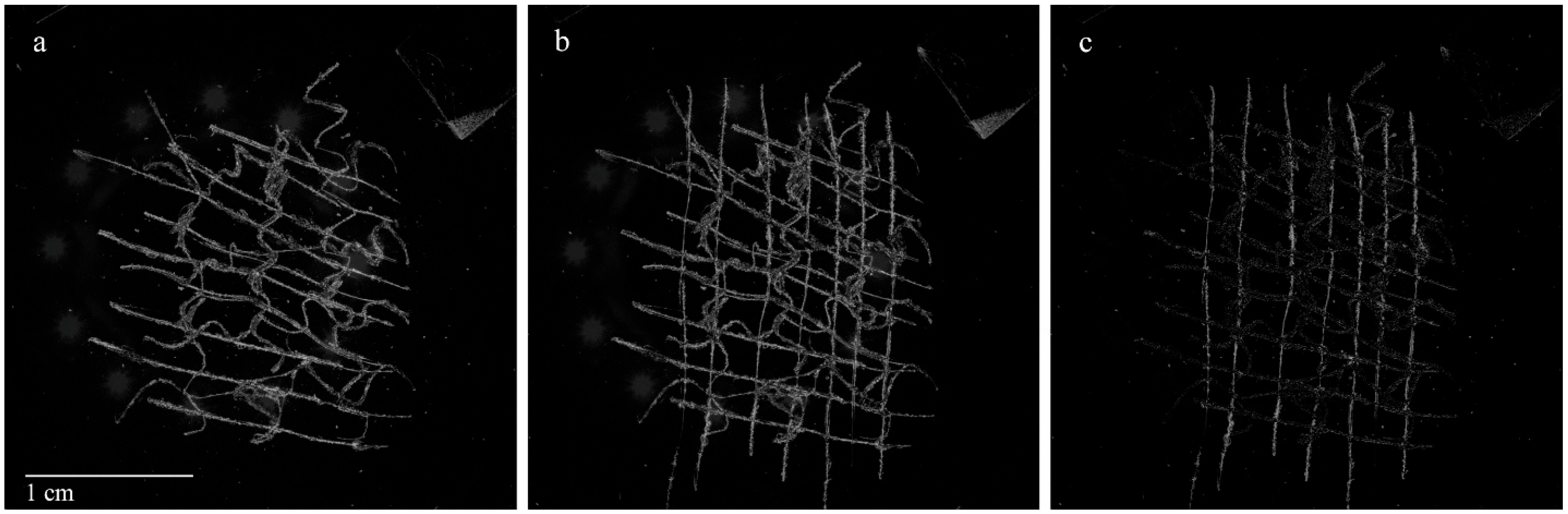 Heritage 08 00269 g005