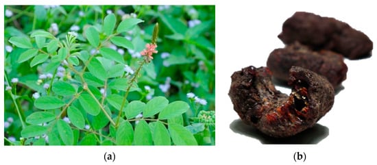 Heritage 08 00360 g0a2