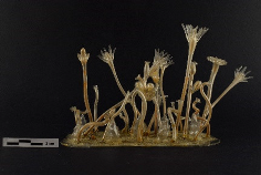 Heritage 08 00376 i005