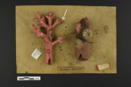 Heritage 08 00376 i015