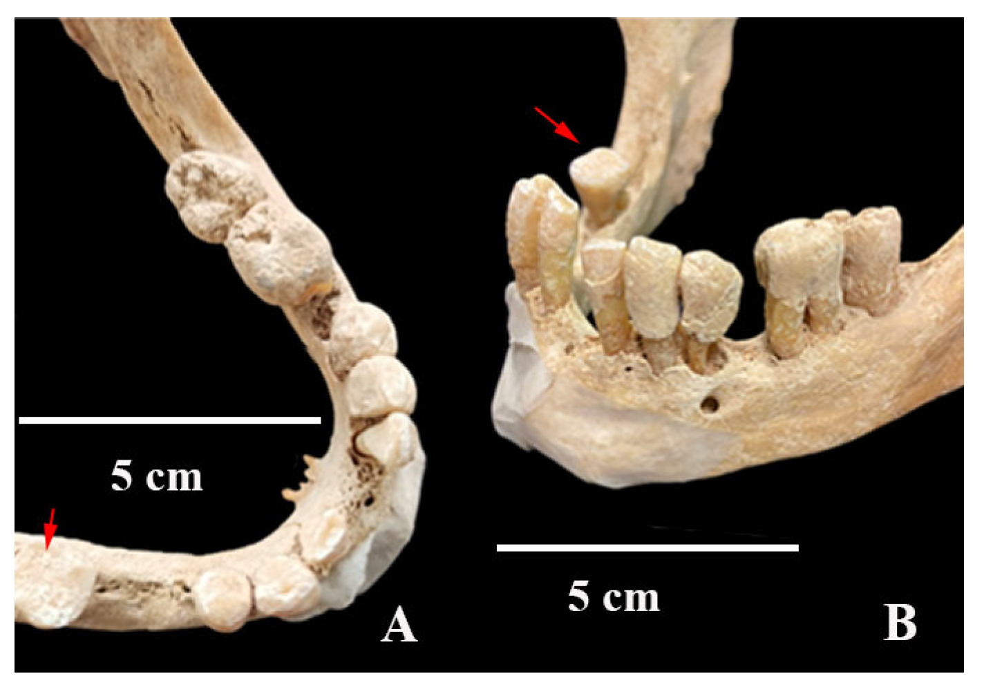Heritage 08 00414 g008