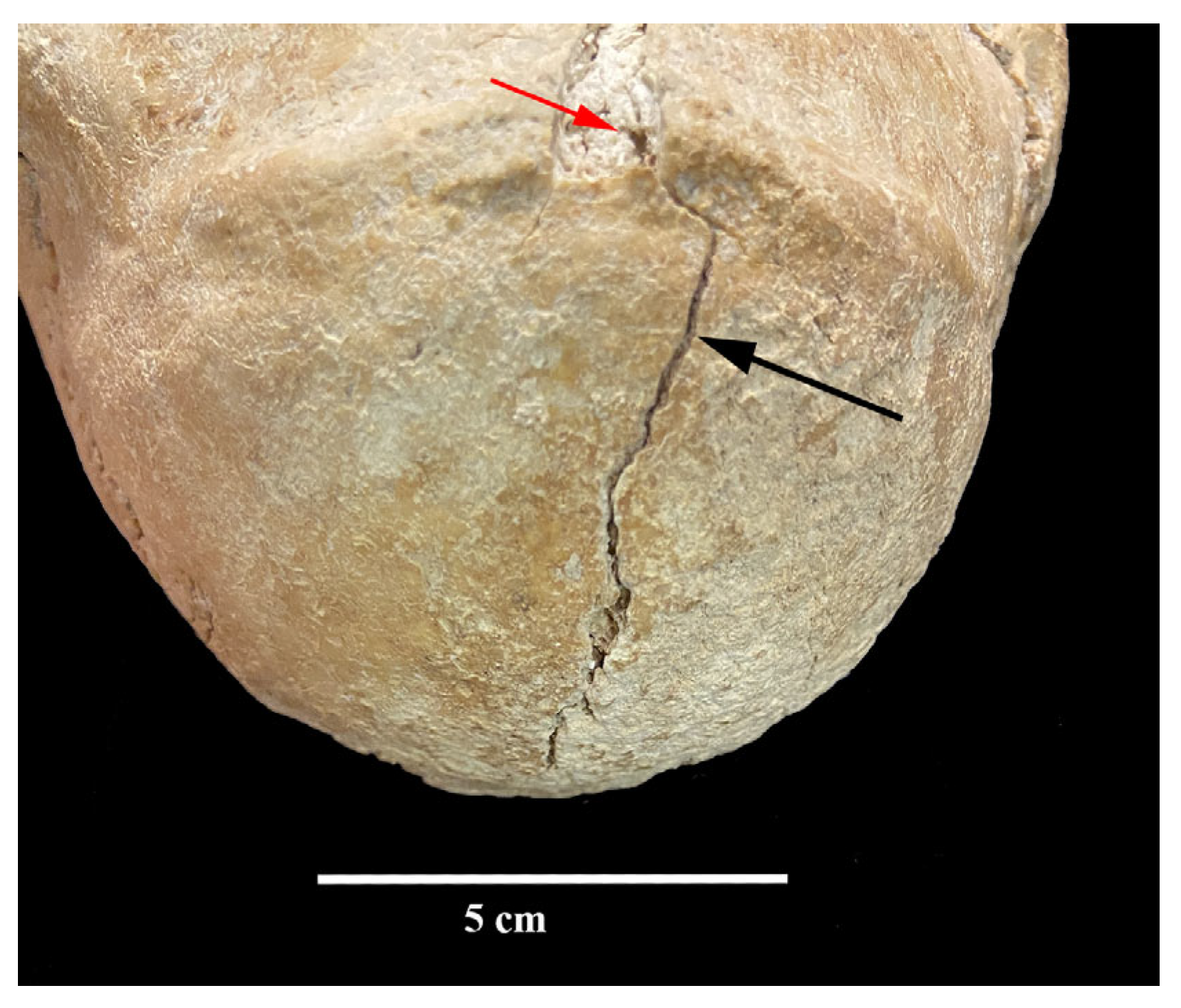 Heritage 08 00414 g011