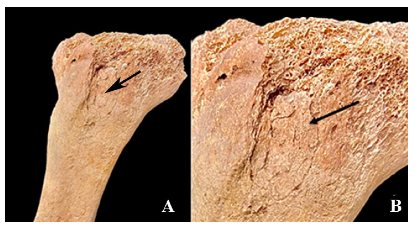 Heritage 08 00414 g012