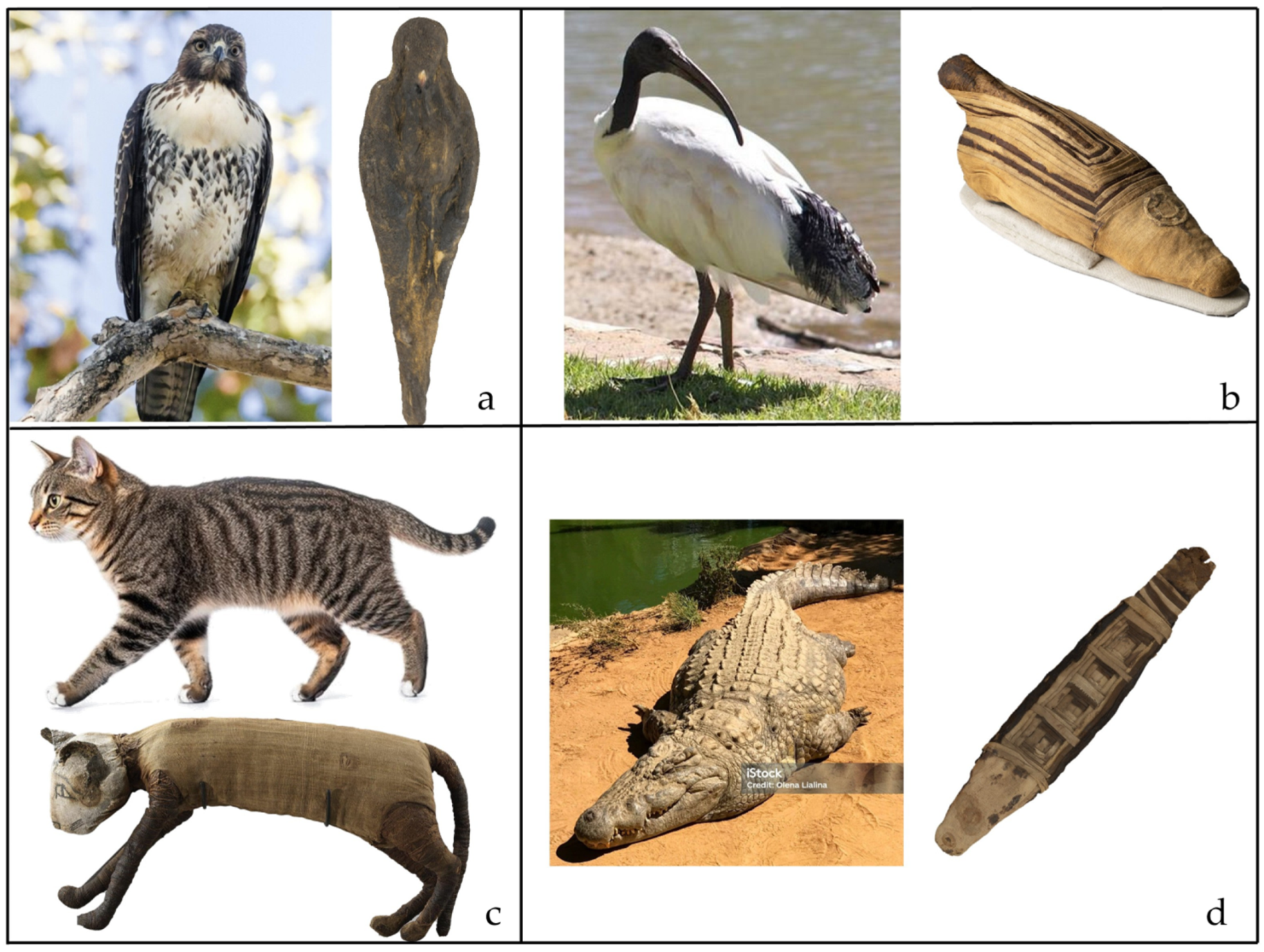 Heritage 08 00415 g005 Heritage 08 00415 g005