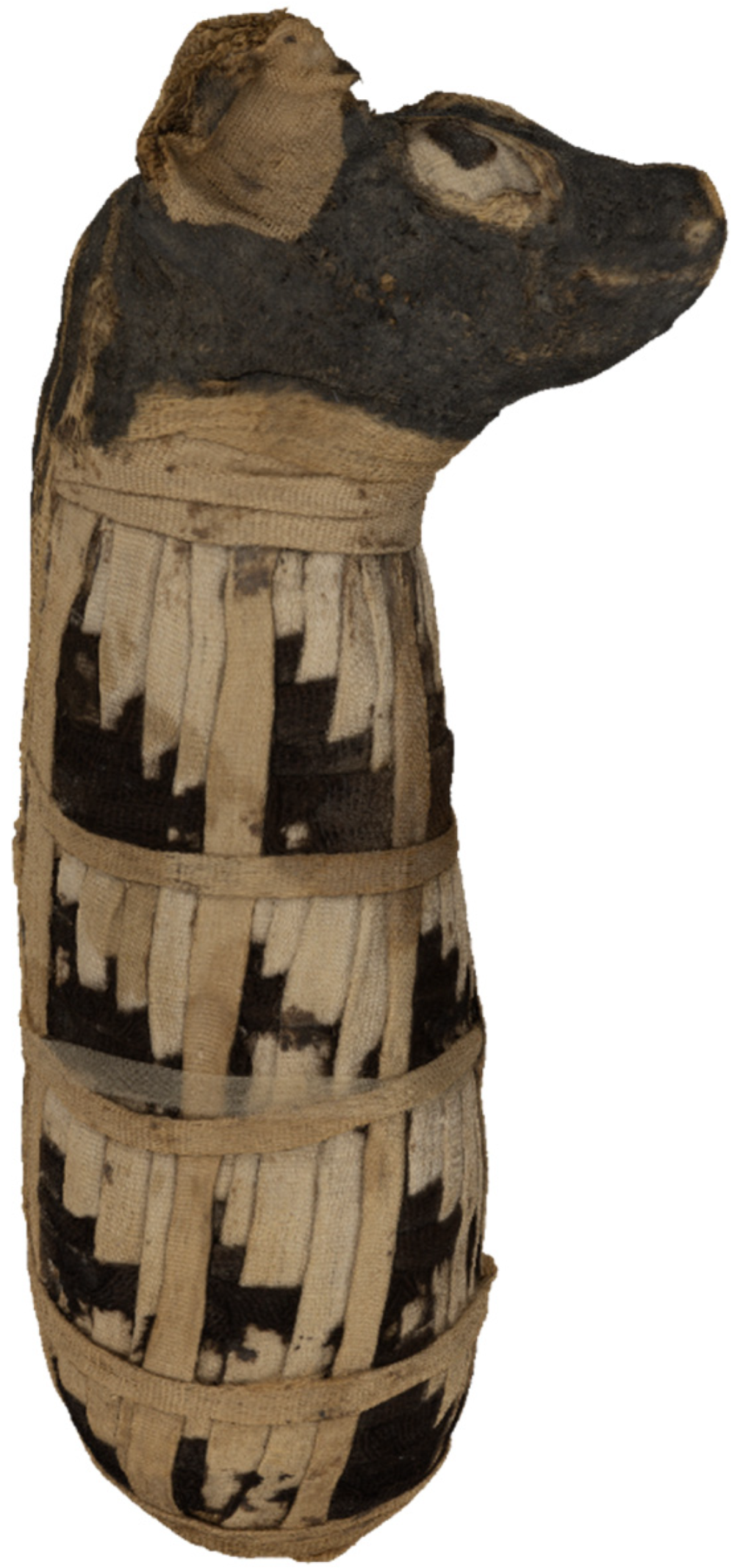 Heritage 08 00415 g016 Heritage 08 00415 g016