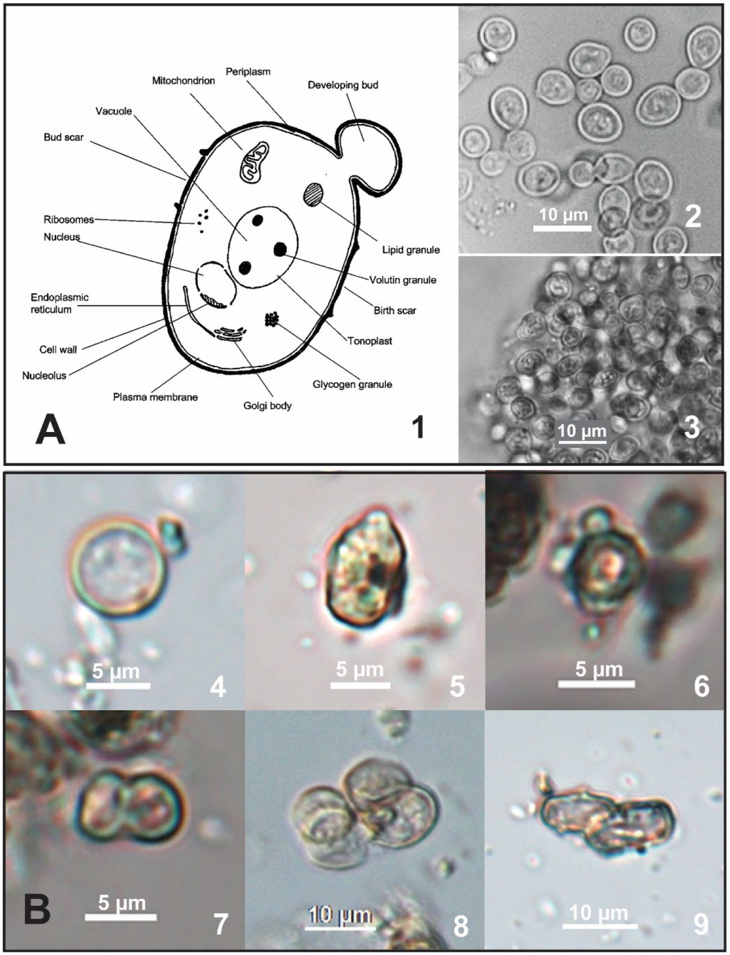 Heritage 08 00426 g002