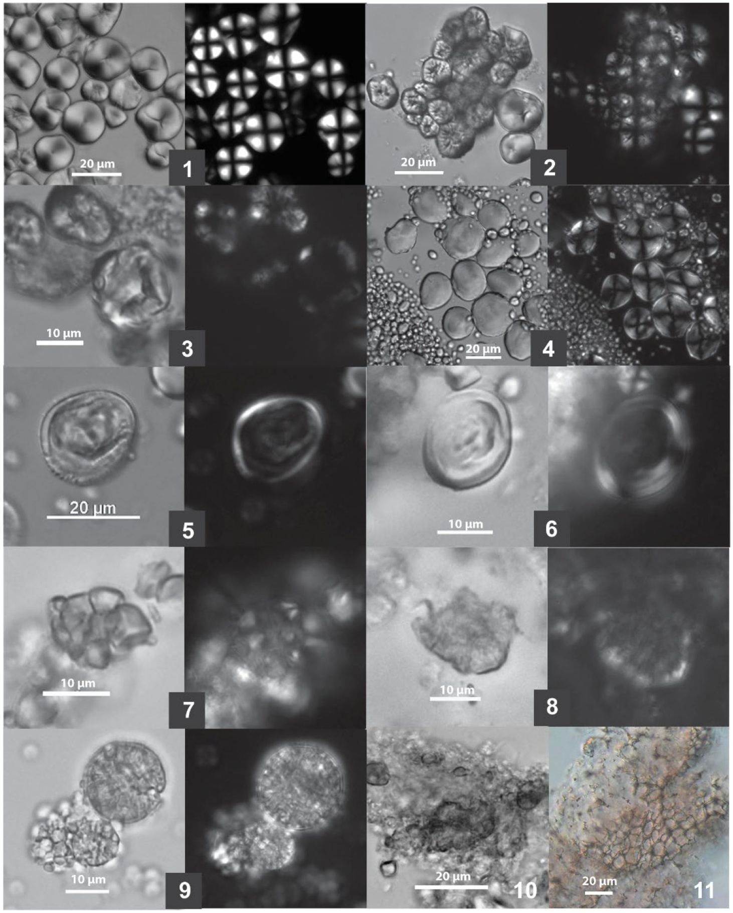 Heritage 08 00426 g004