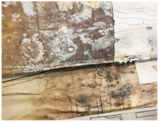 Heritage 08 00469 i002 Heritage 08 00469 i002