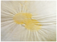 Heritage 08 00469 i004 Heritage 08 00469 i004