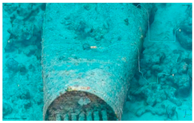 Heritage 08 00504 i002