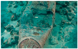 Heritage 08 00504 i004