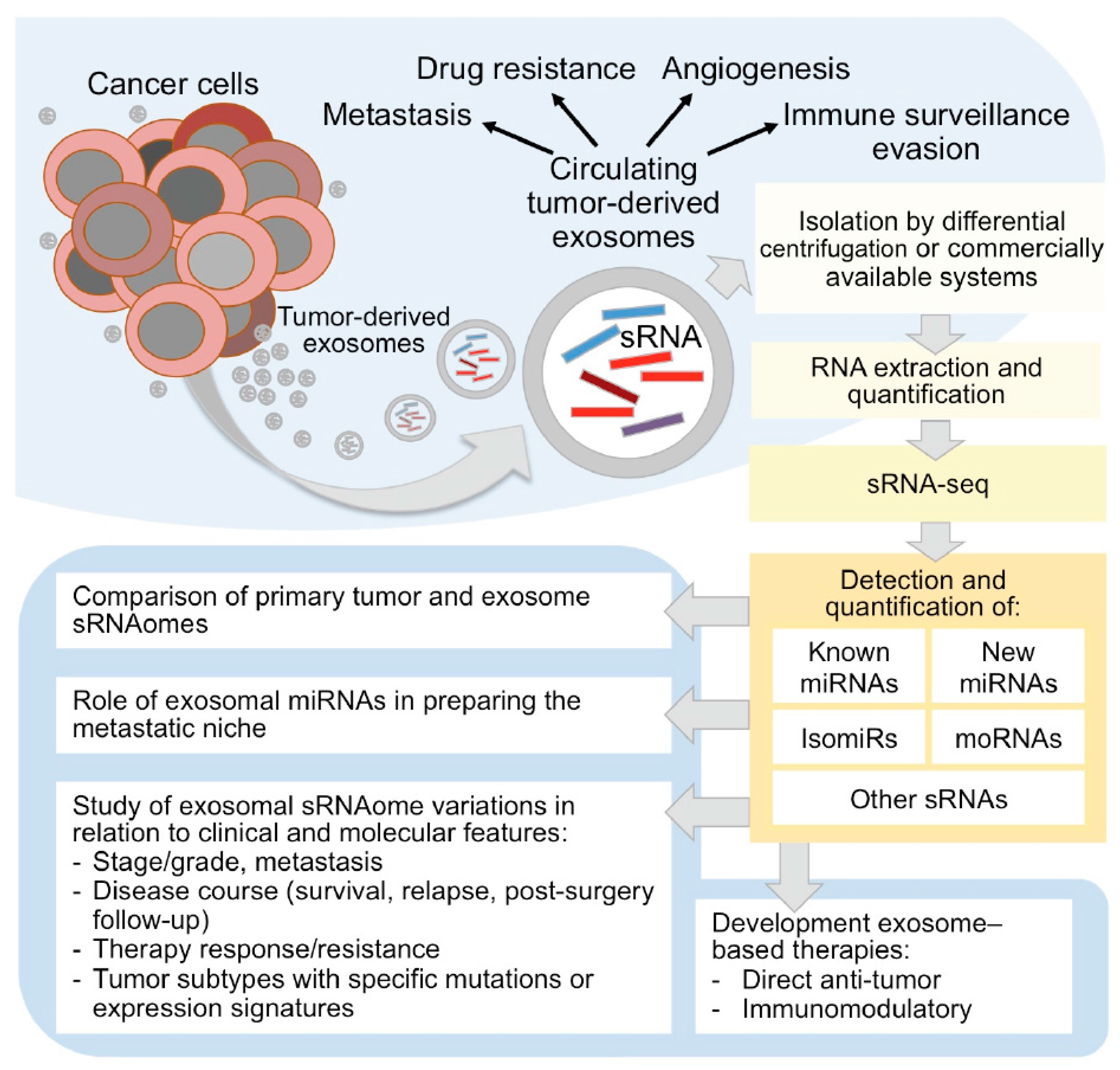 High throughput 06 00013 g001