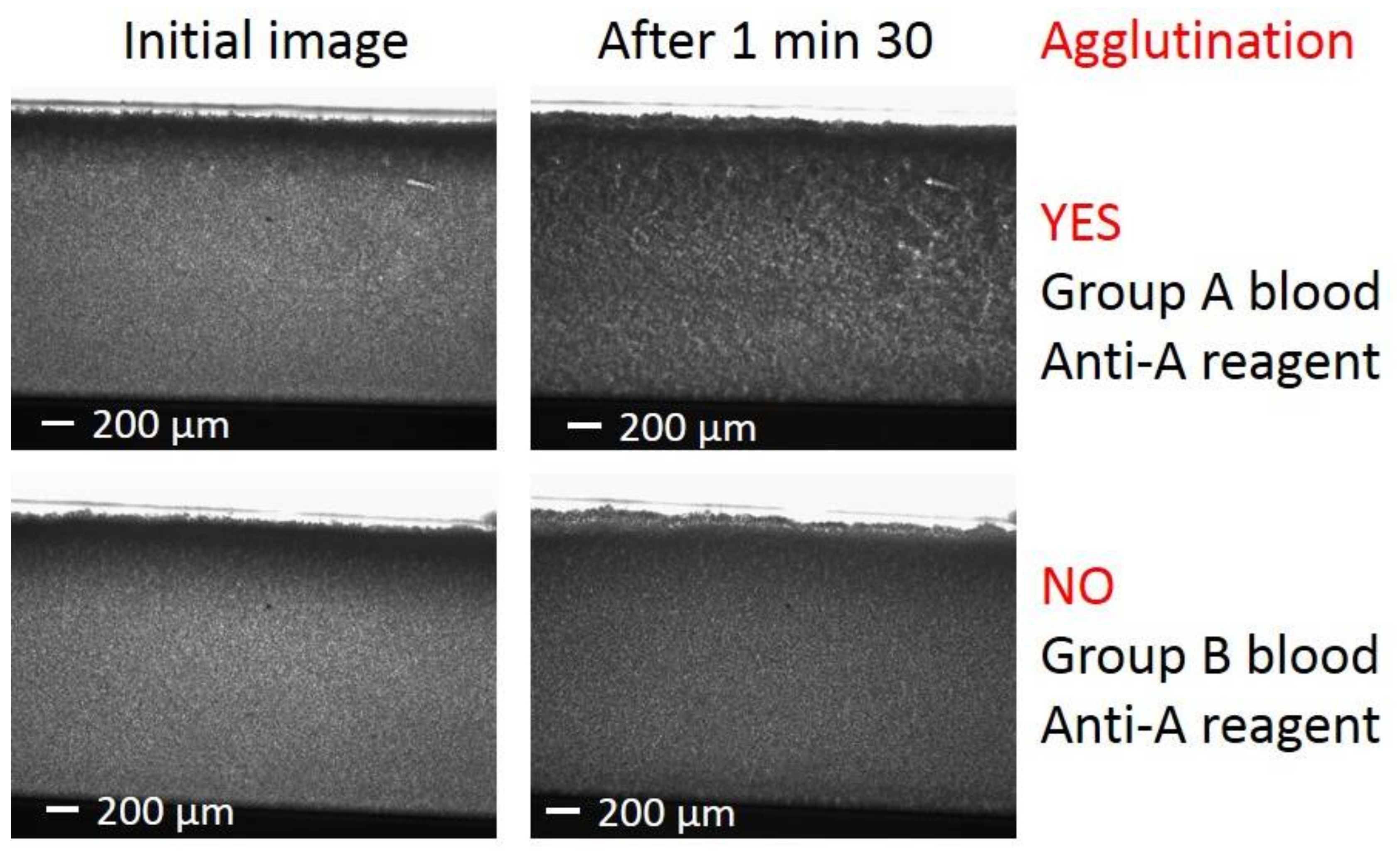 High throughput 07 00010 g002
