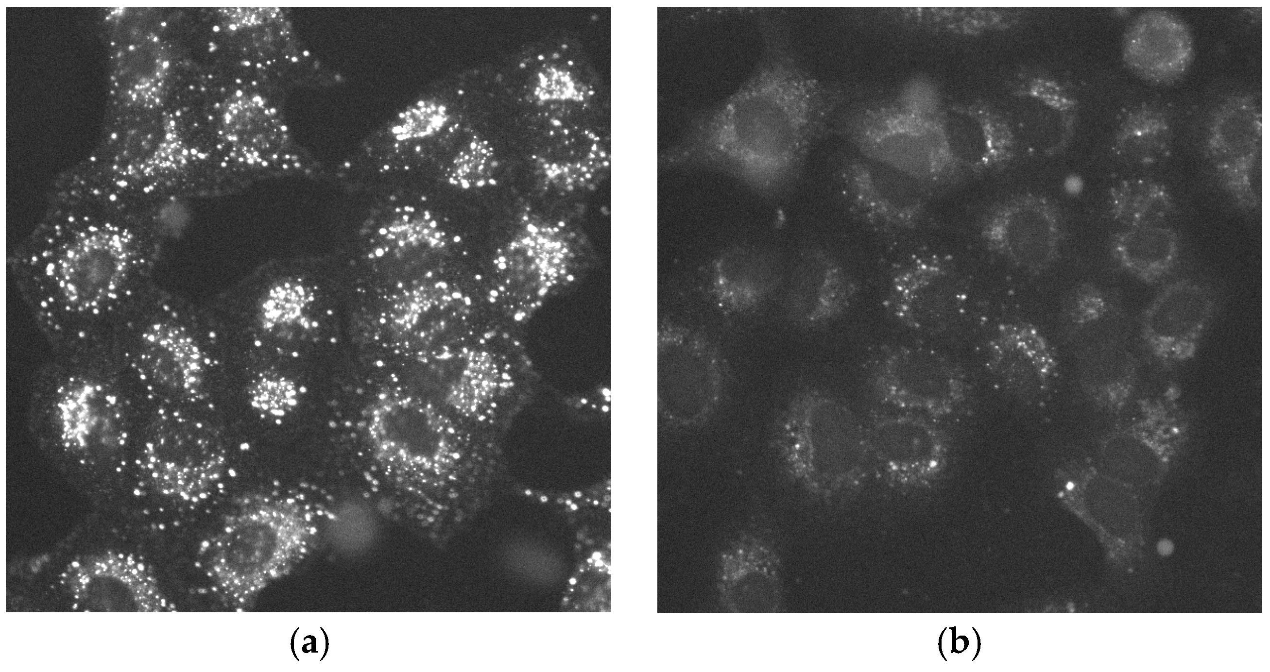 High throughput 07 00013 g005