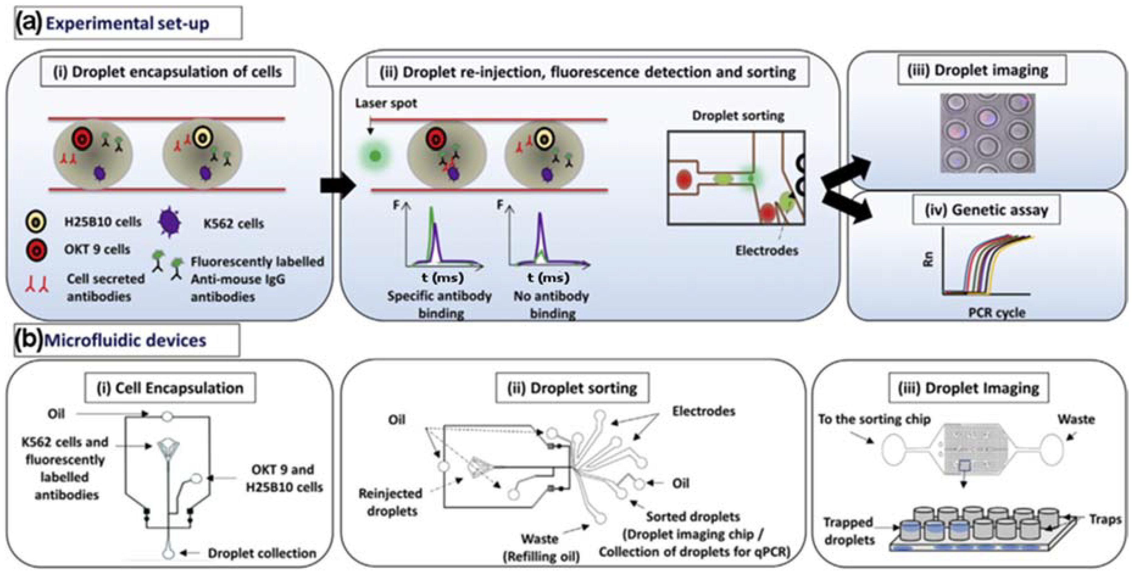 High throughput 07 00018 g002
