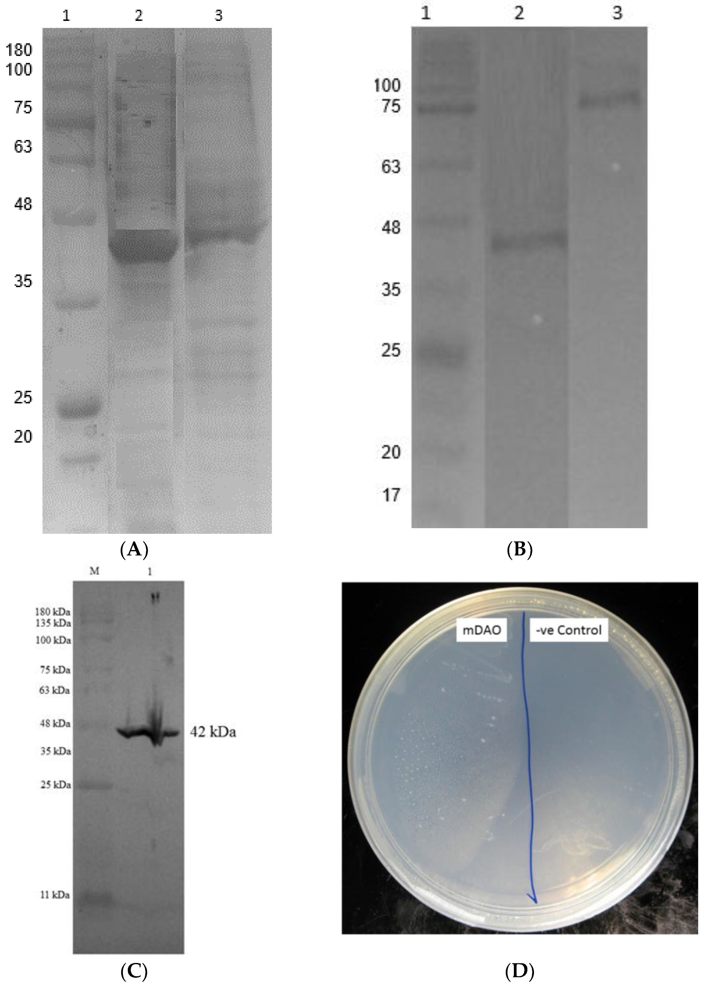 High throughput 07 00021 g006