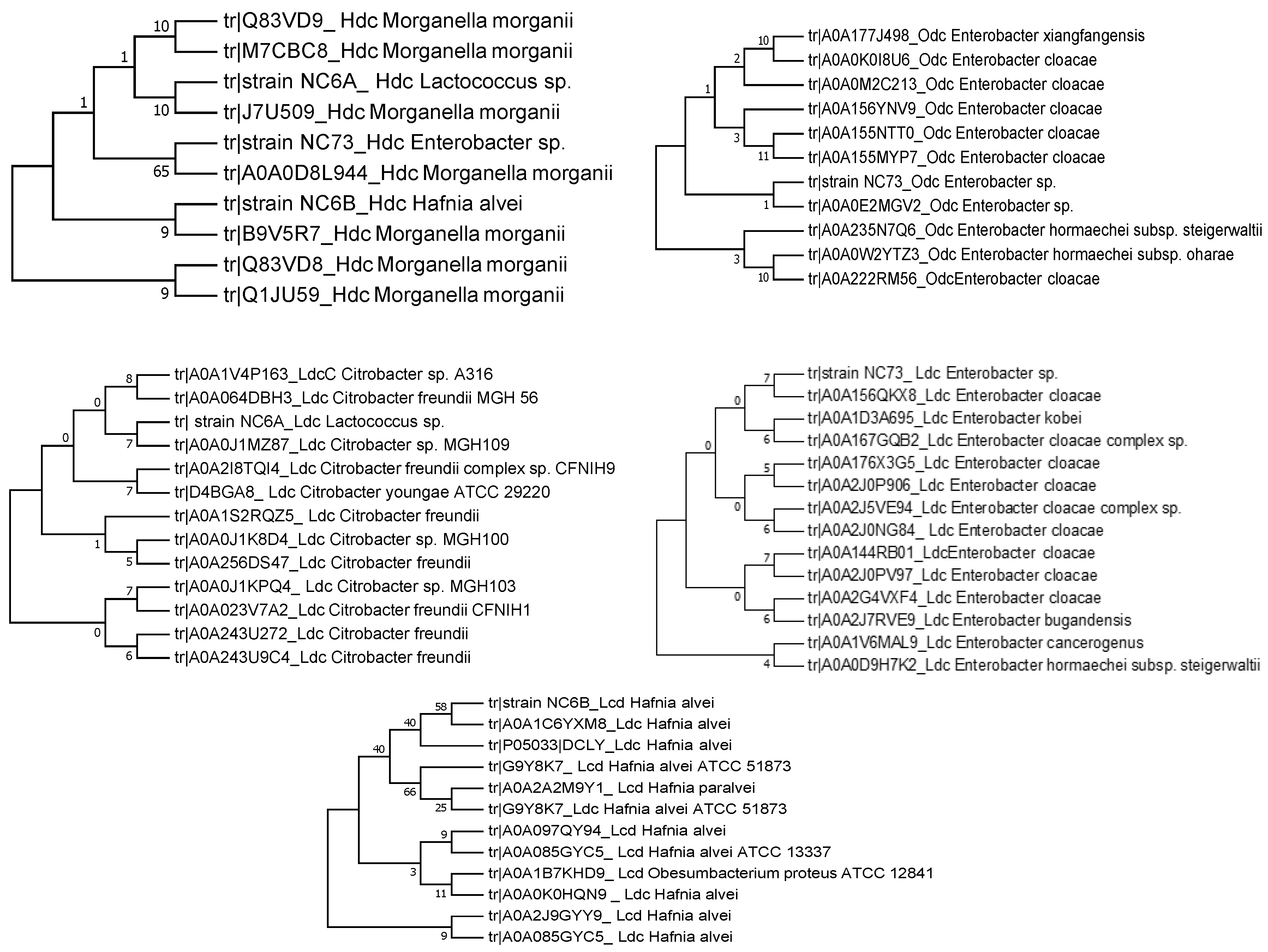 High throughput 07 00025 g002
