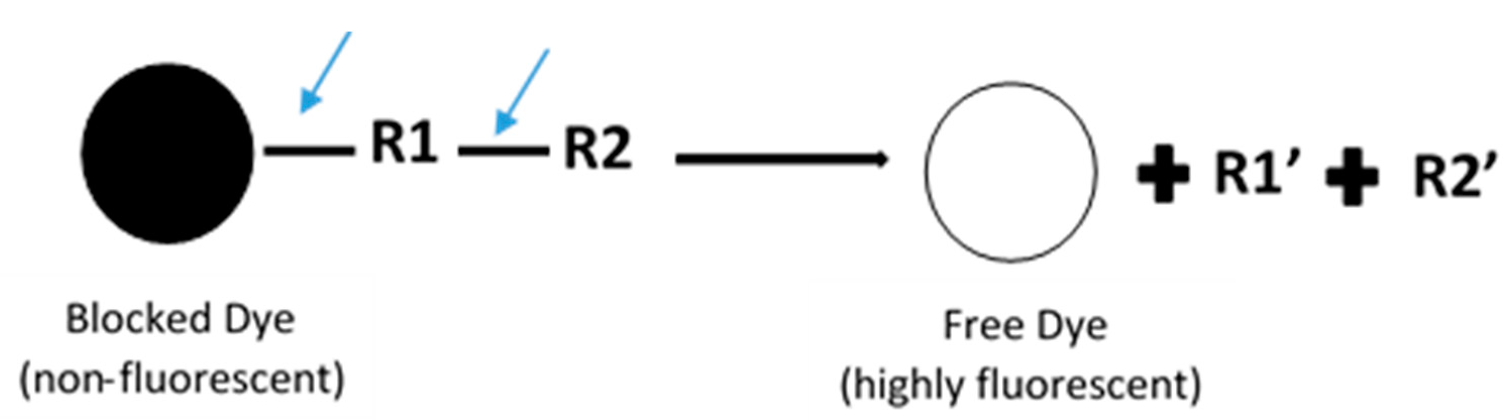 High throughput 07 00029 g002