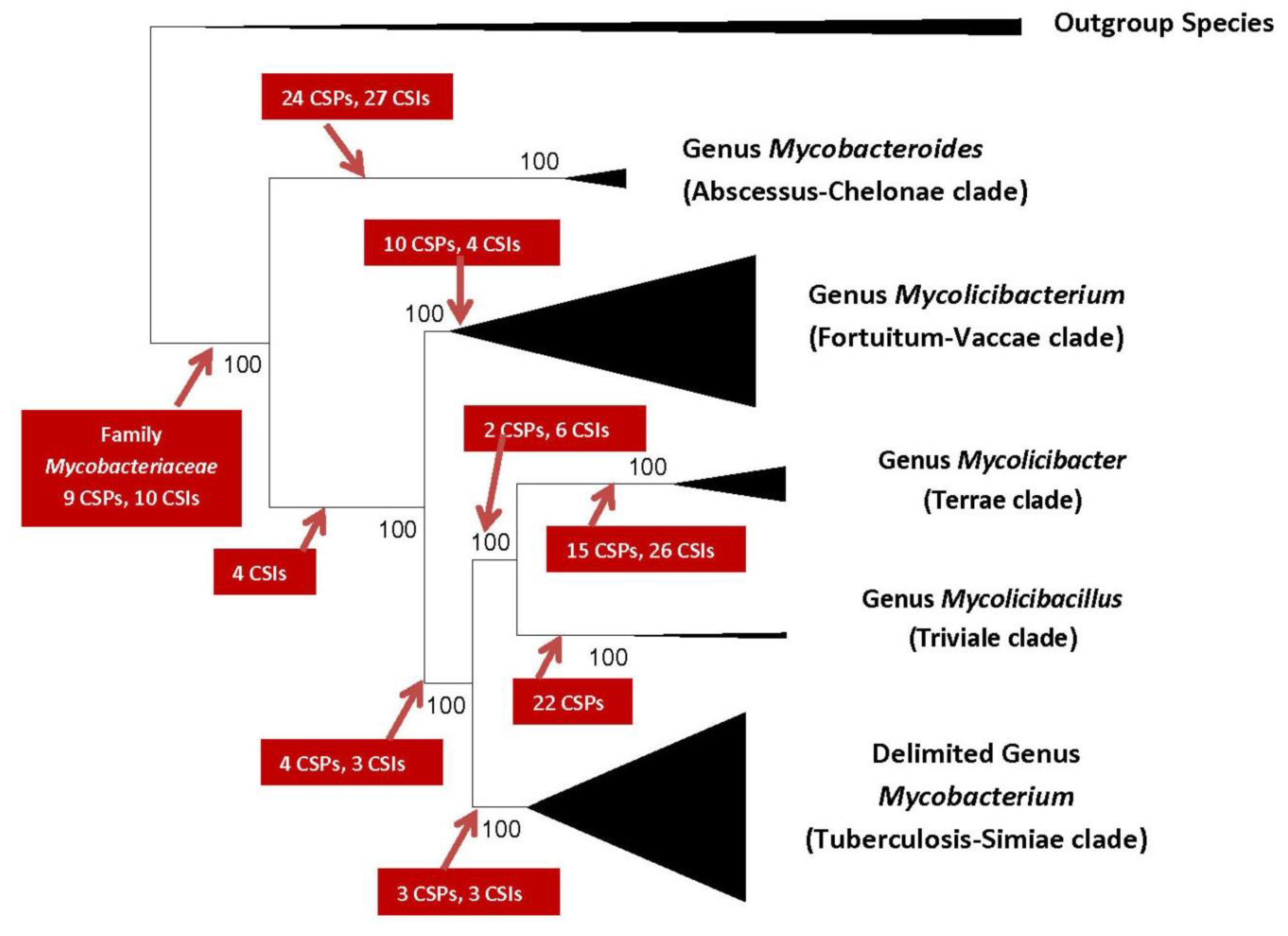 High throughput 07 00031 g001