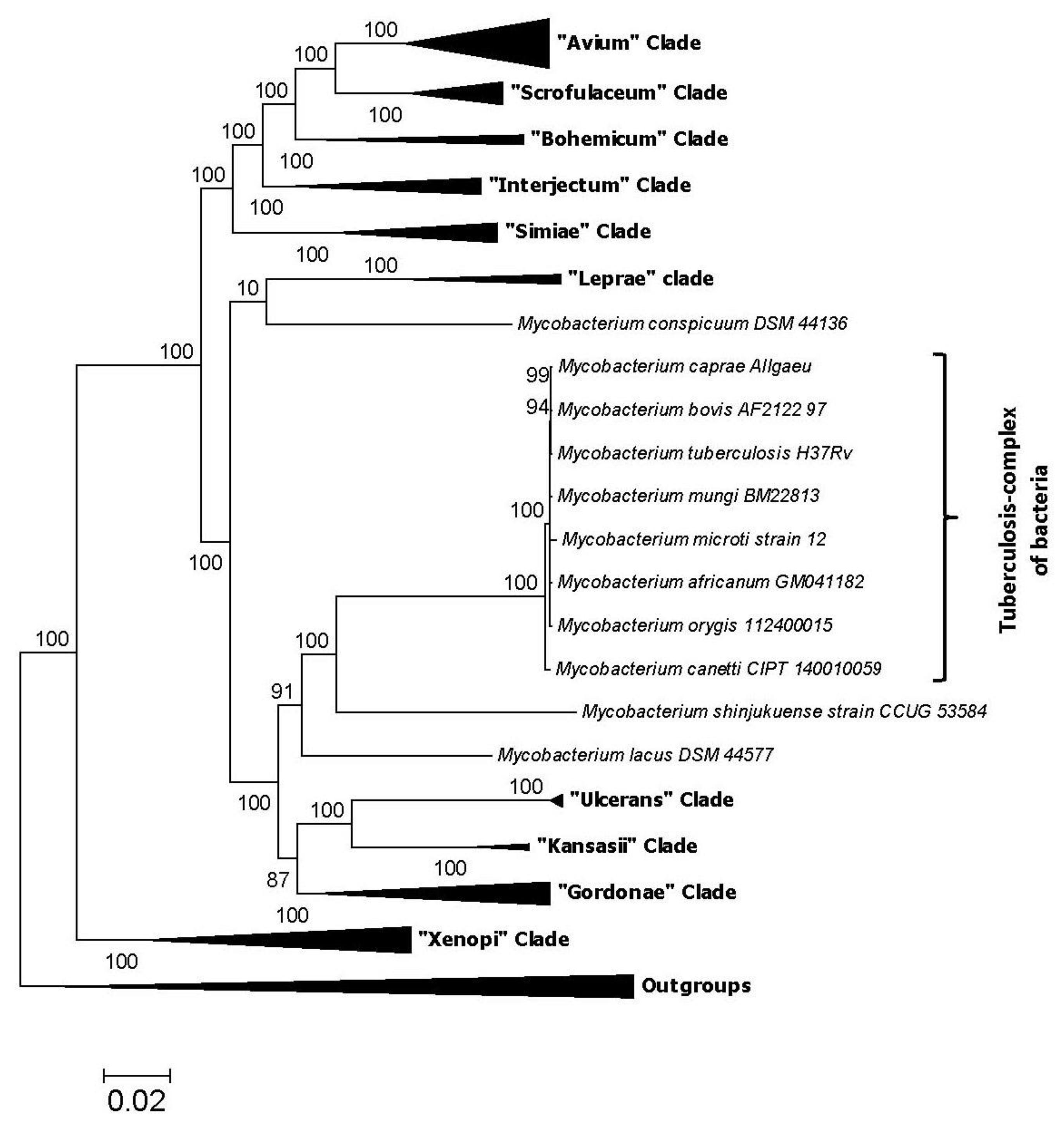High throughput 07 00031 g002