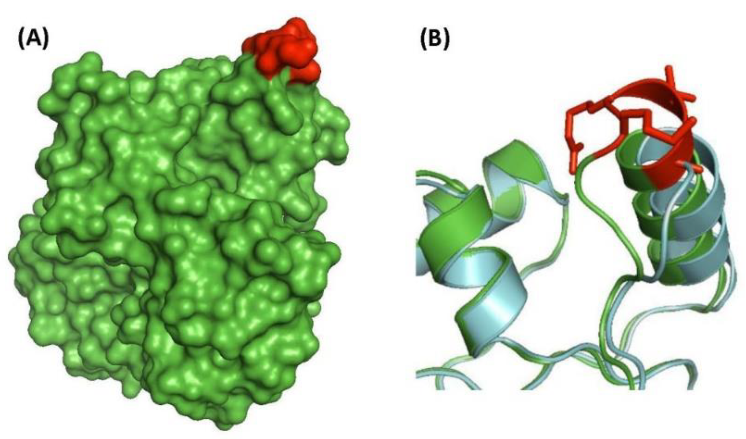 High throughput 07 00031 g005