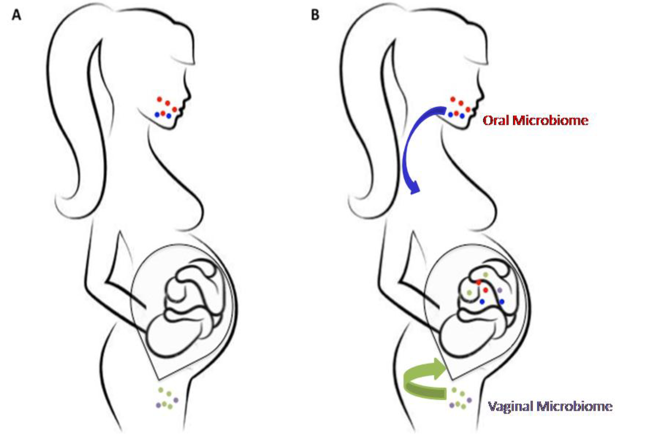 High throughput 07 00038 g001