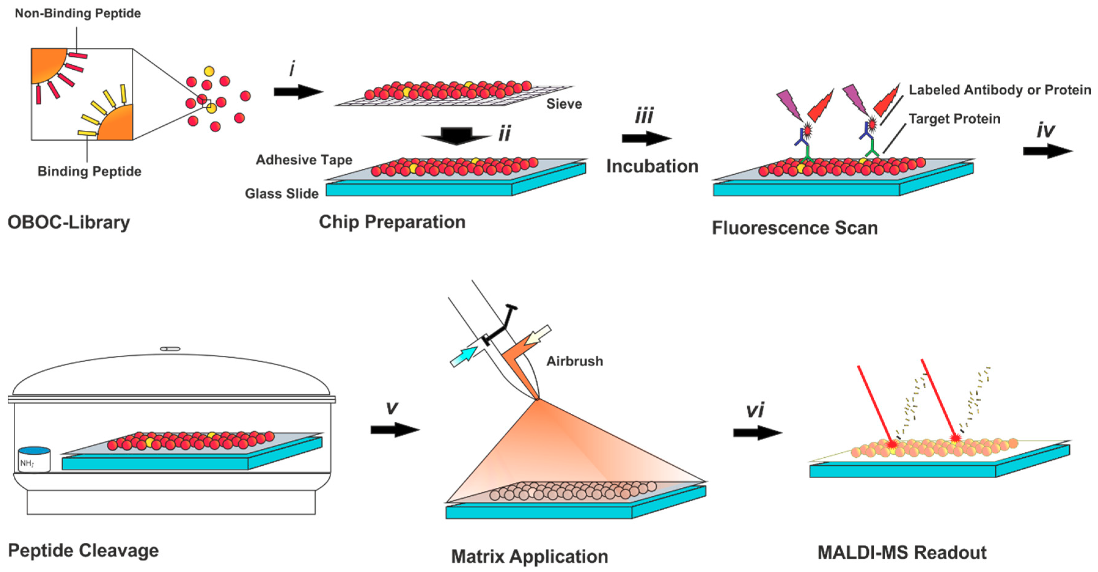 High throughput 08 00011 g001