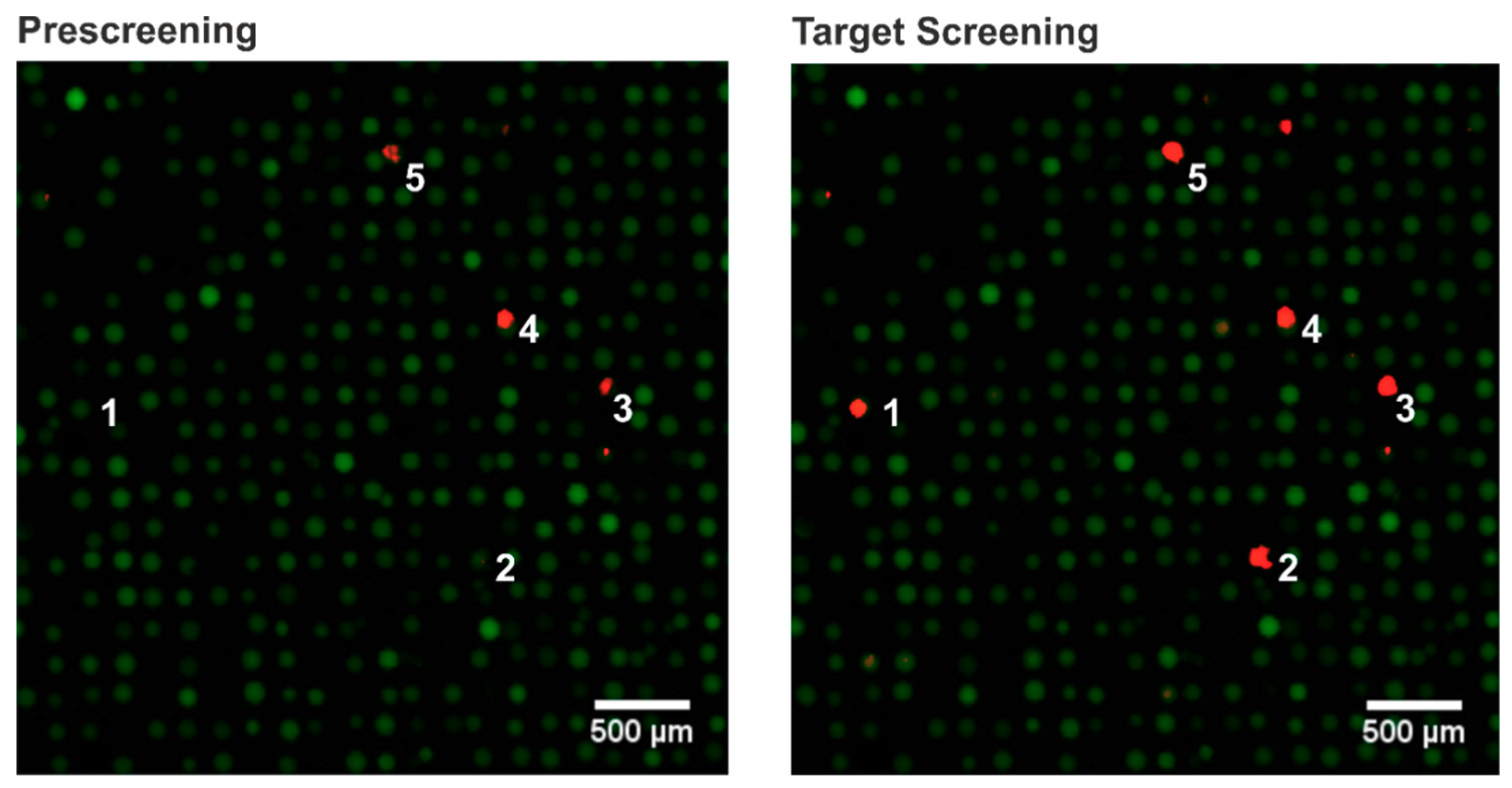 High throughput 08 00011 g003