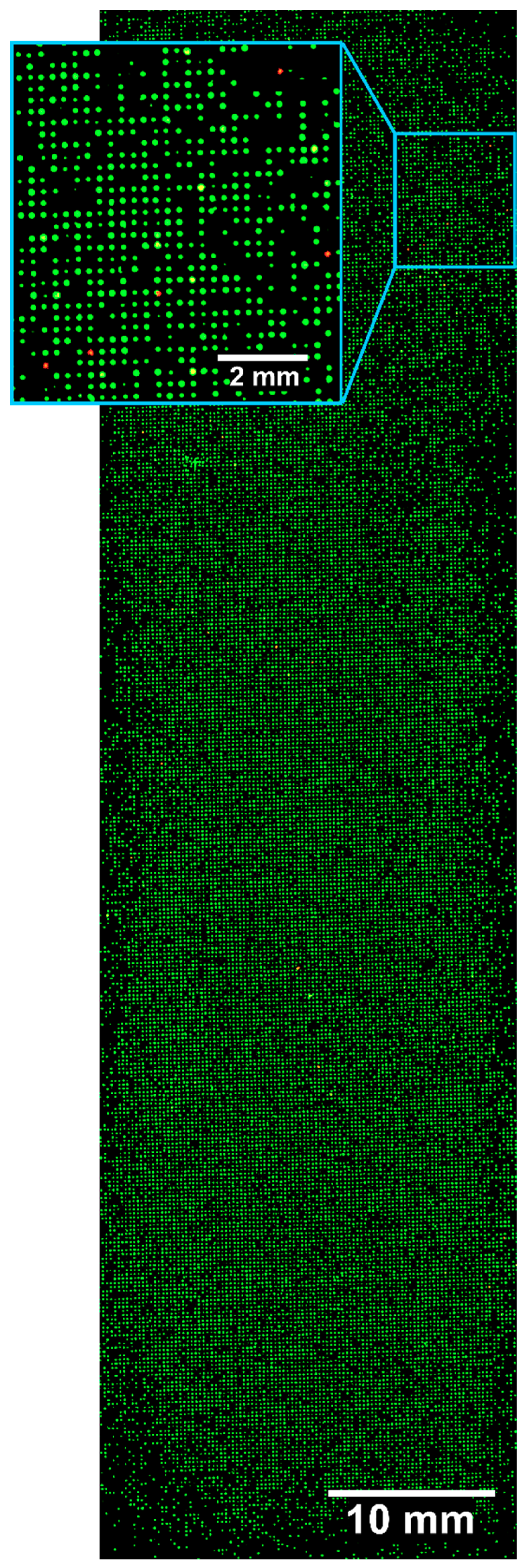 High throughput 08 00011 g004