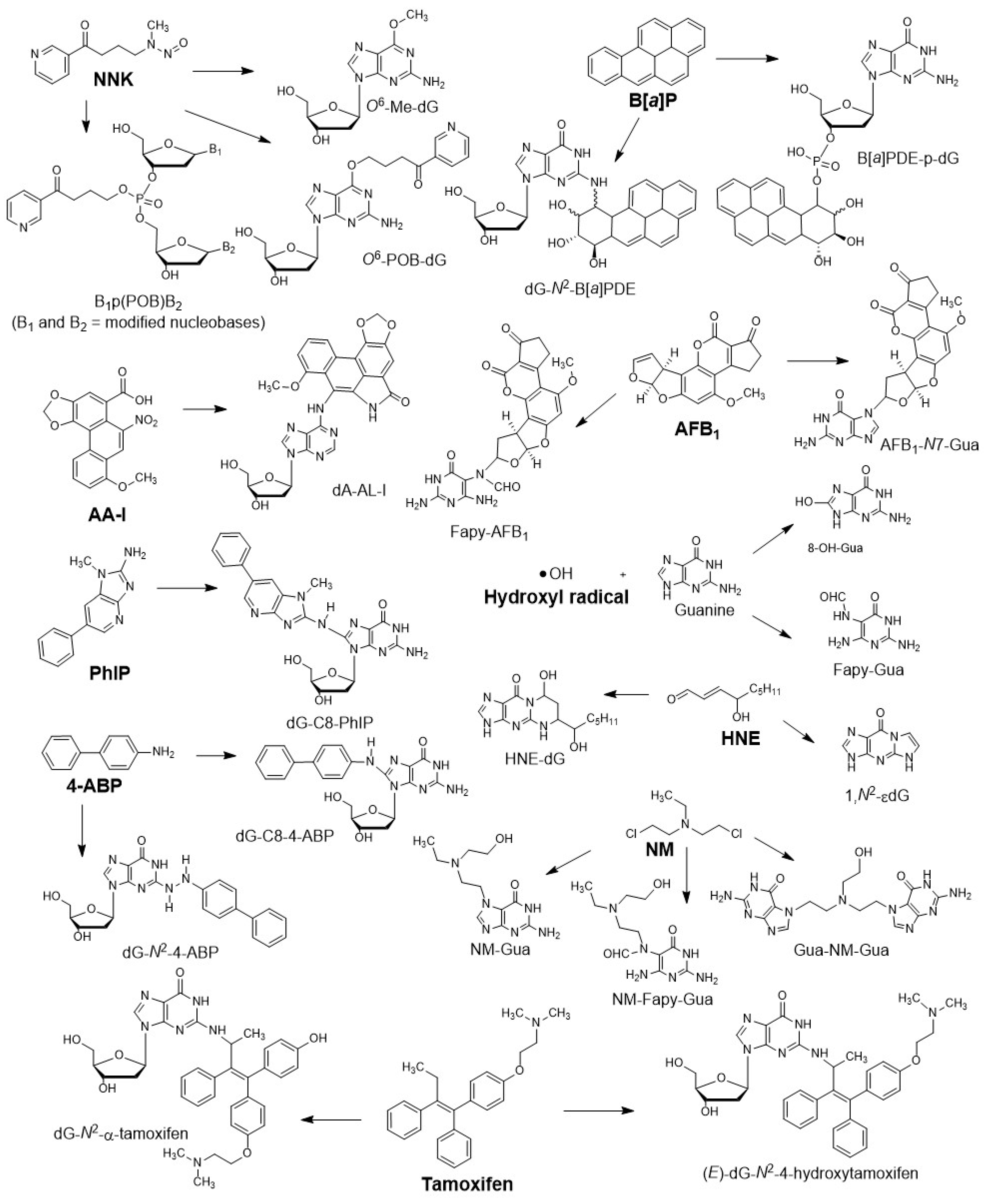 High throughput 08 00013 g001