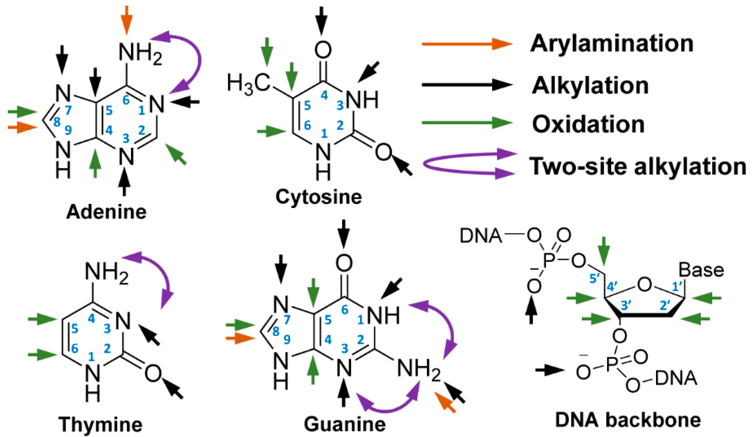 High throughput 08 00013 g002
