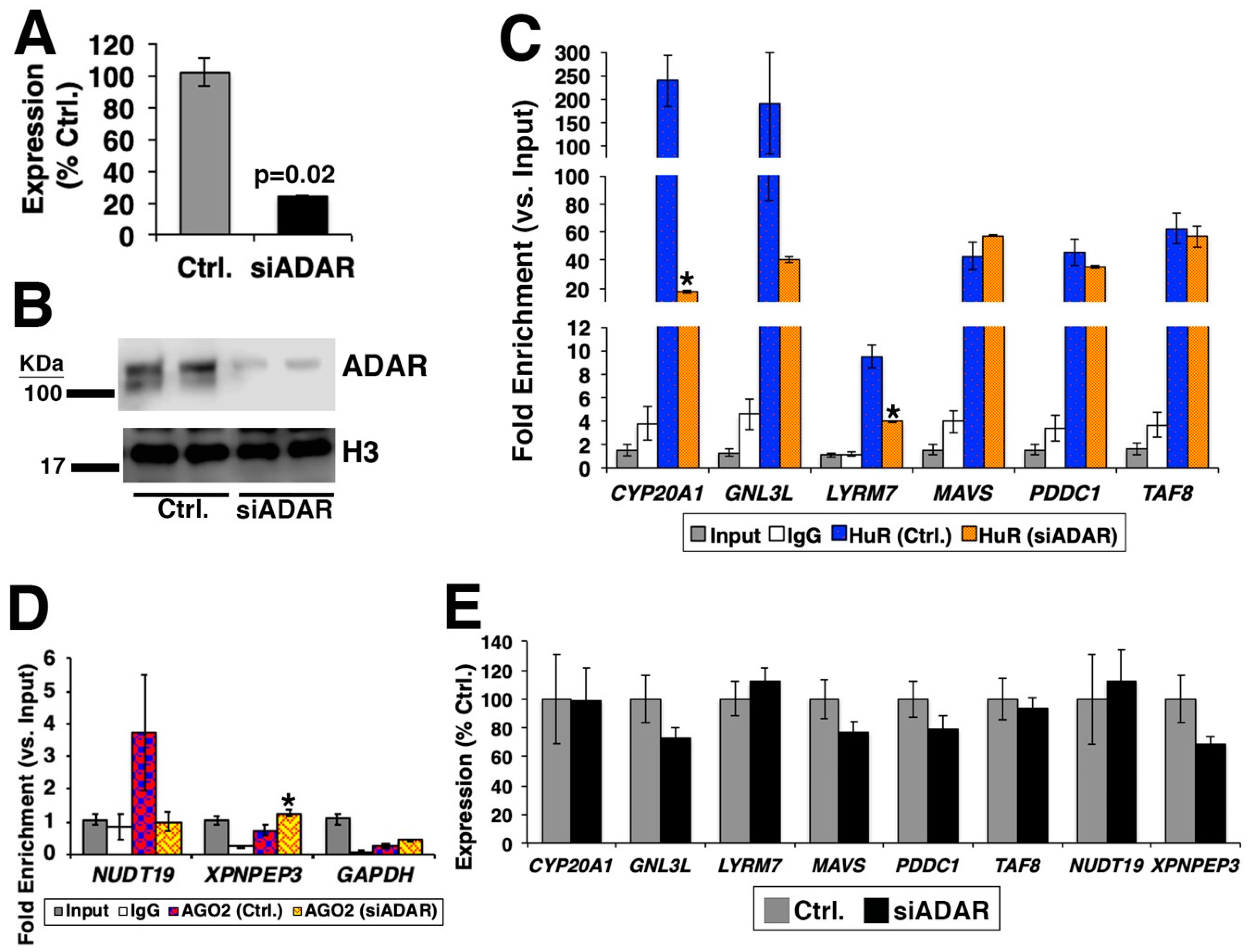 High throughput 08 00019 g002