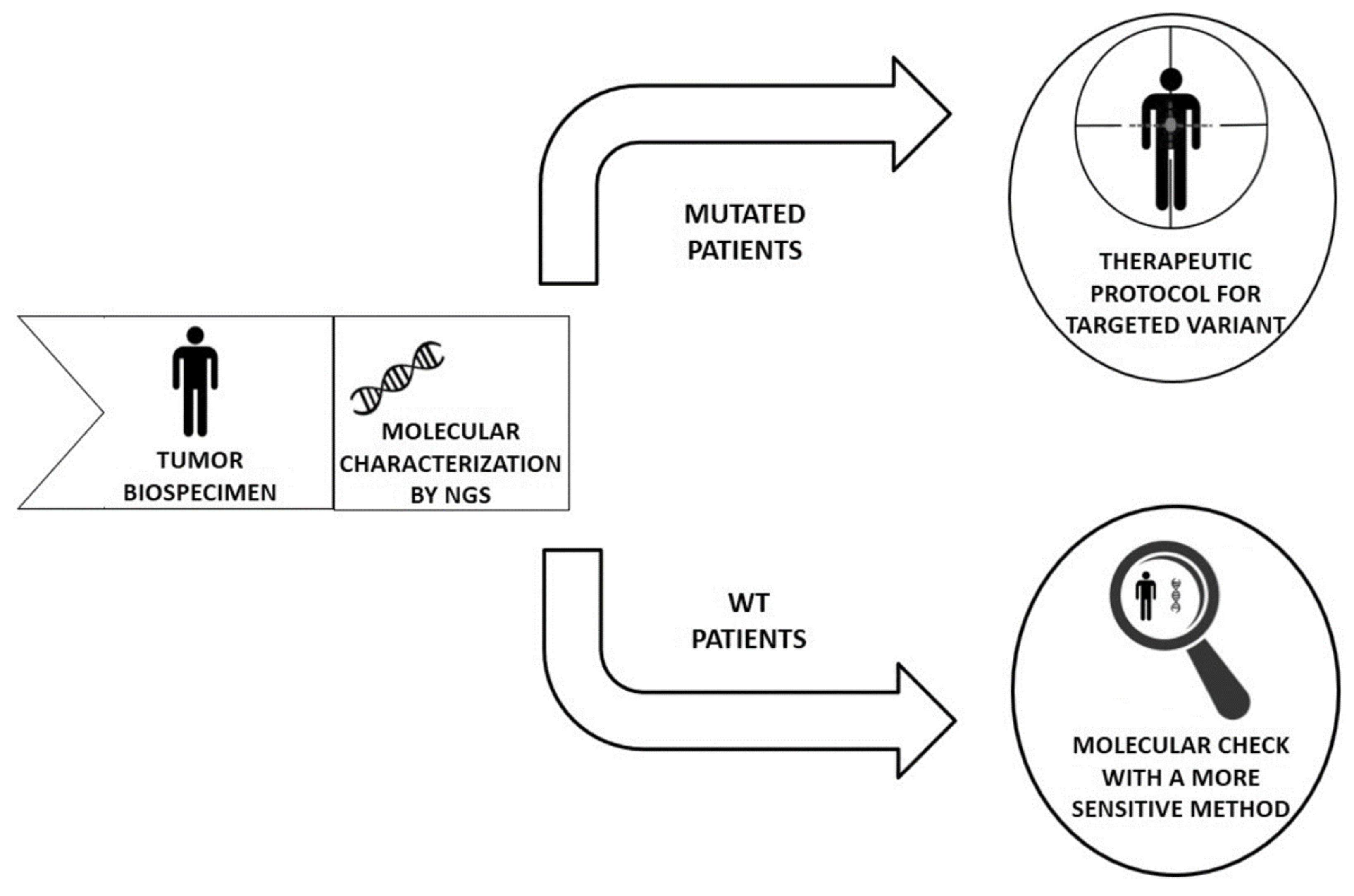 High throughput 09 00004 g001
