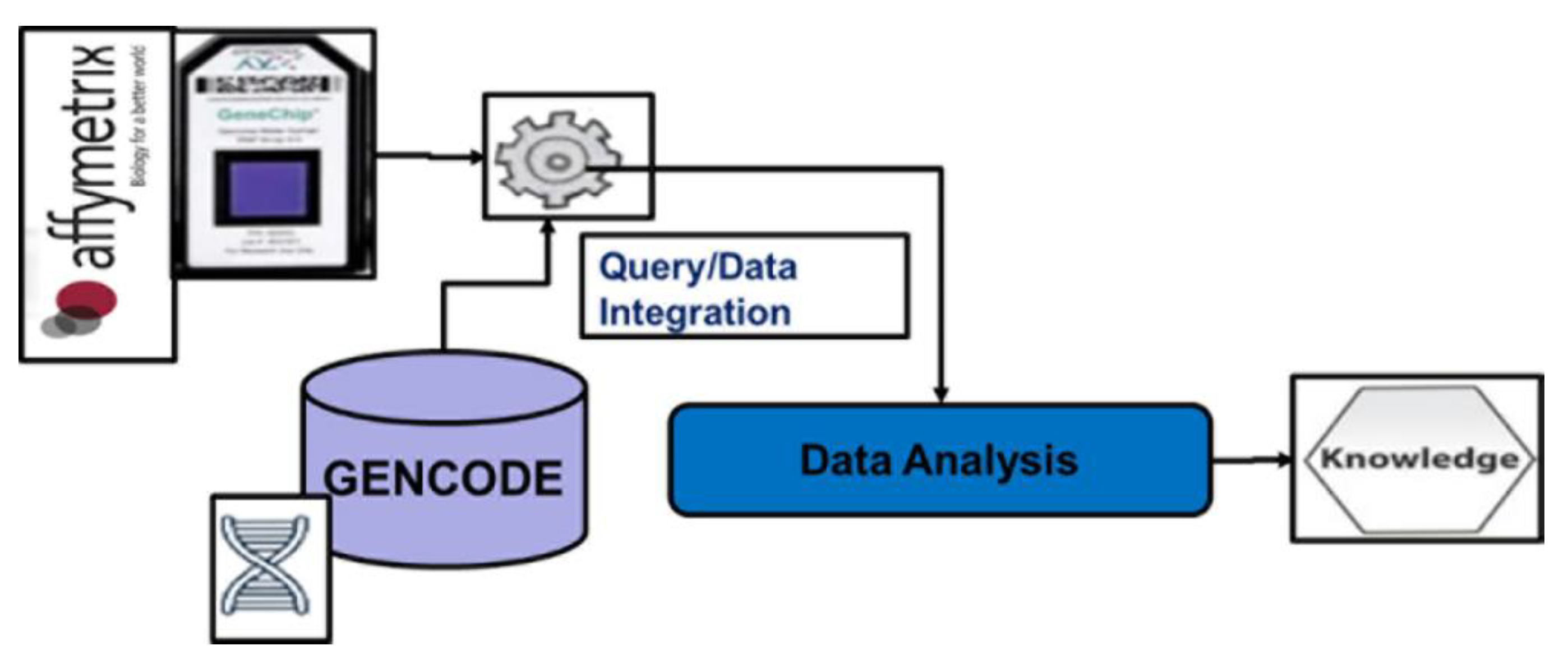 High throughput 09 00008 g004