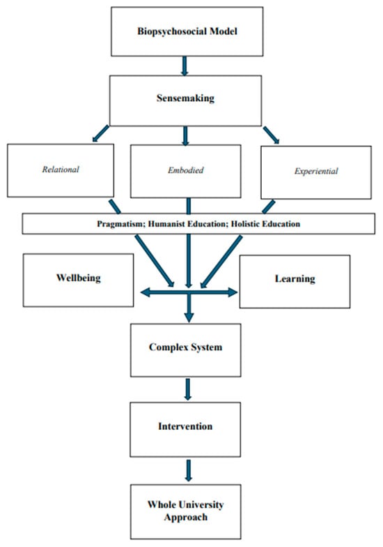 Shows how the integrative model enriches the biopsychosocial model by adding sensemaking that is inherently relational, embodied, experiential. Through a pragmatist and humanist pedagogical lens, sensemaking of learning and wellbeing interact to elucidate cultural and environmental factors within a complex system as a first step to designing effective wellbeing-promotive interventions in a whole university approach.