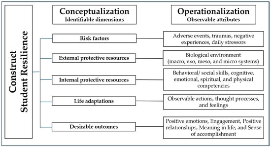 Reconceptualization of student resilience. Source: Created by the authors.