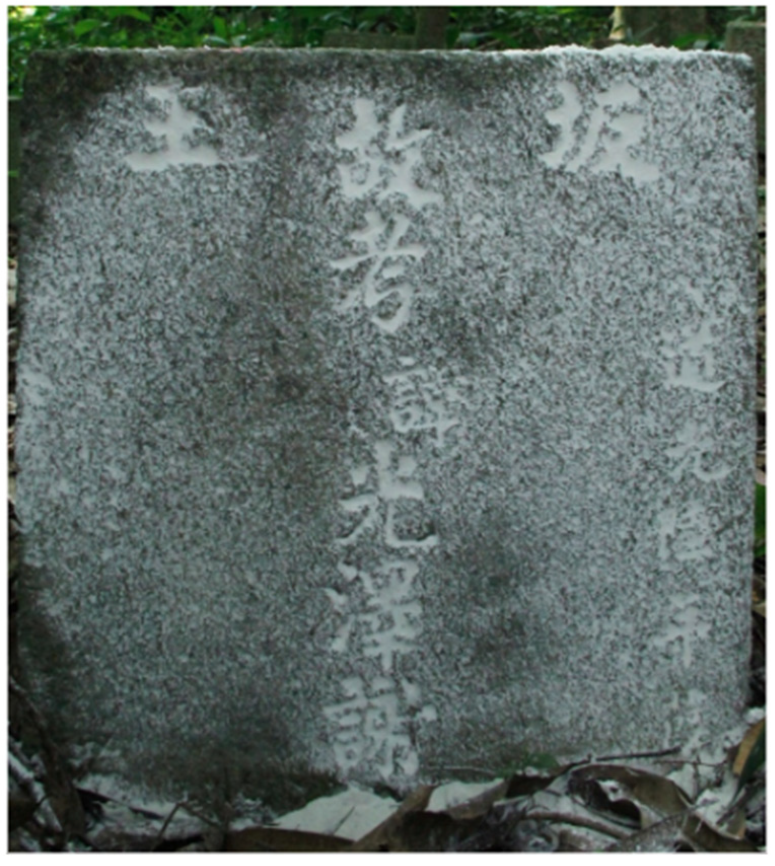 Histories 02 00022 g001