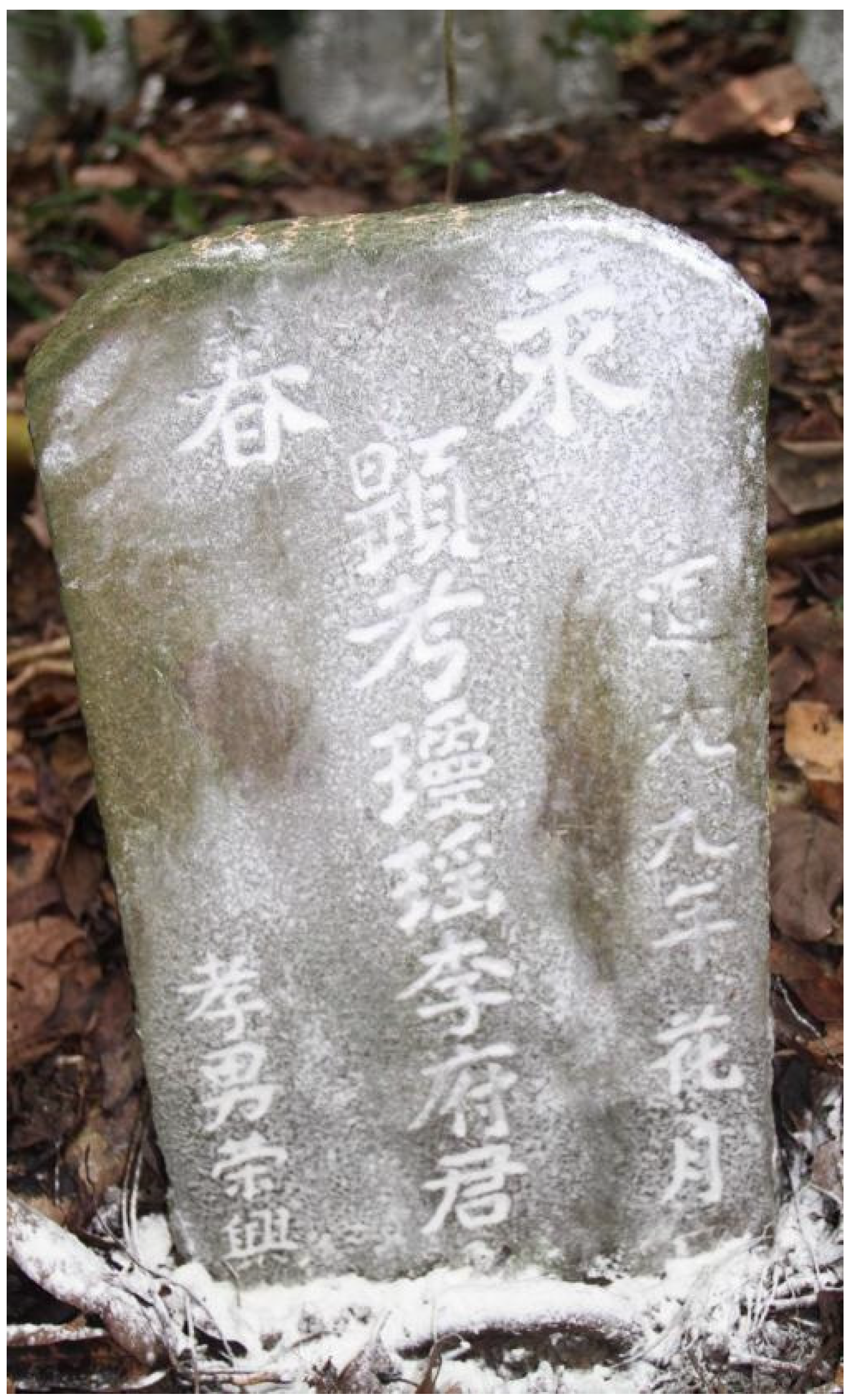 Histories 02 00022 g002