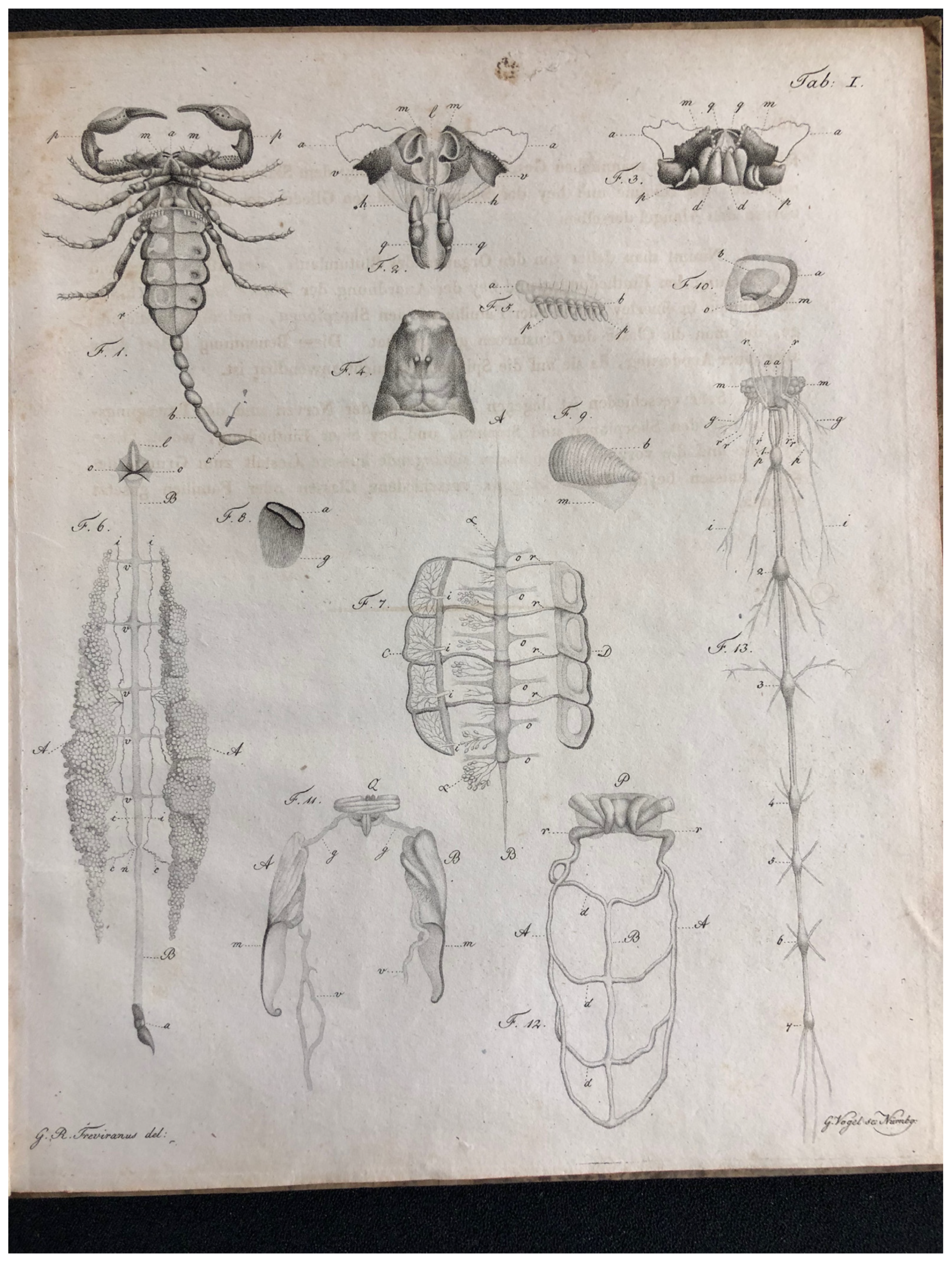 Histories 03 00009 g001a