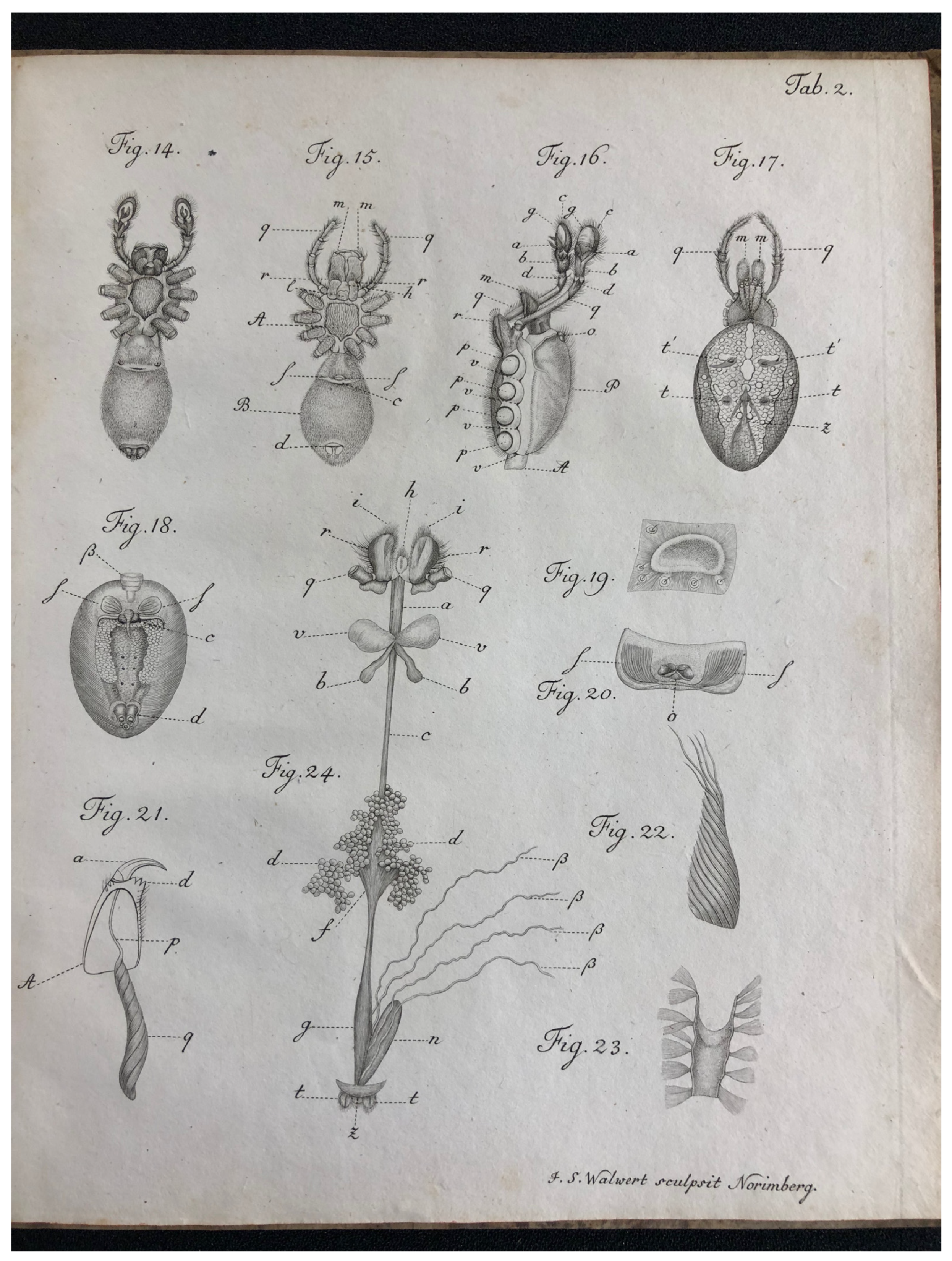 Histories 03 00009 g001b