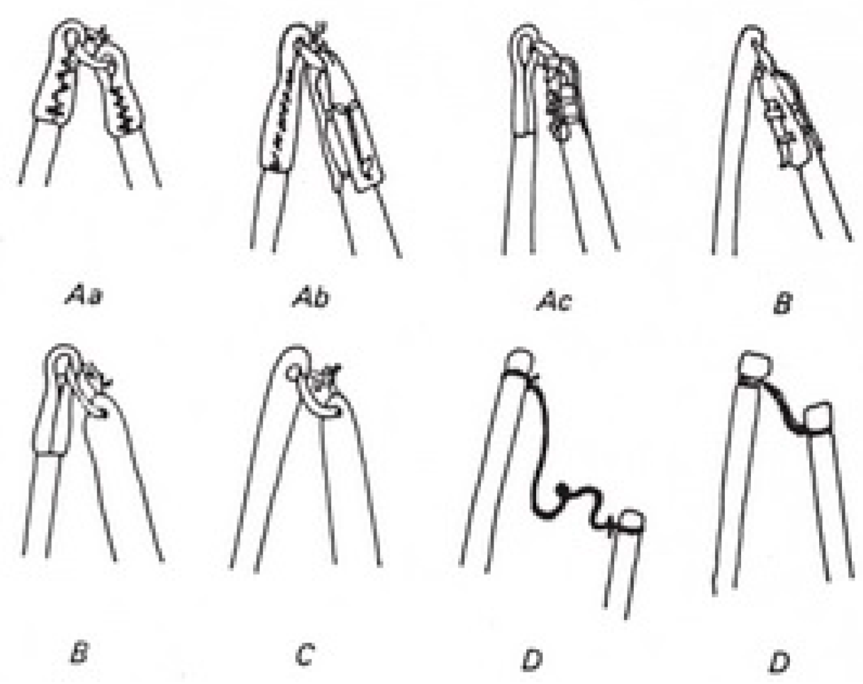 Histories 04 00009 g004